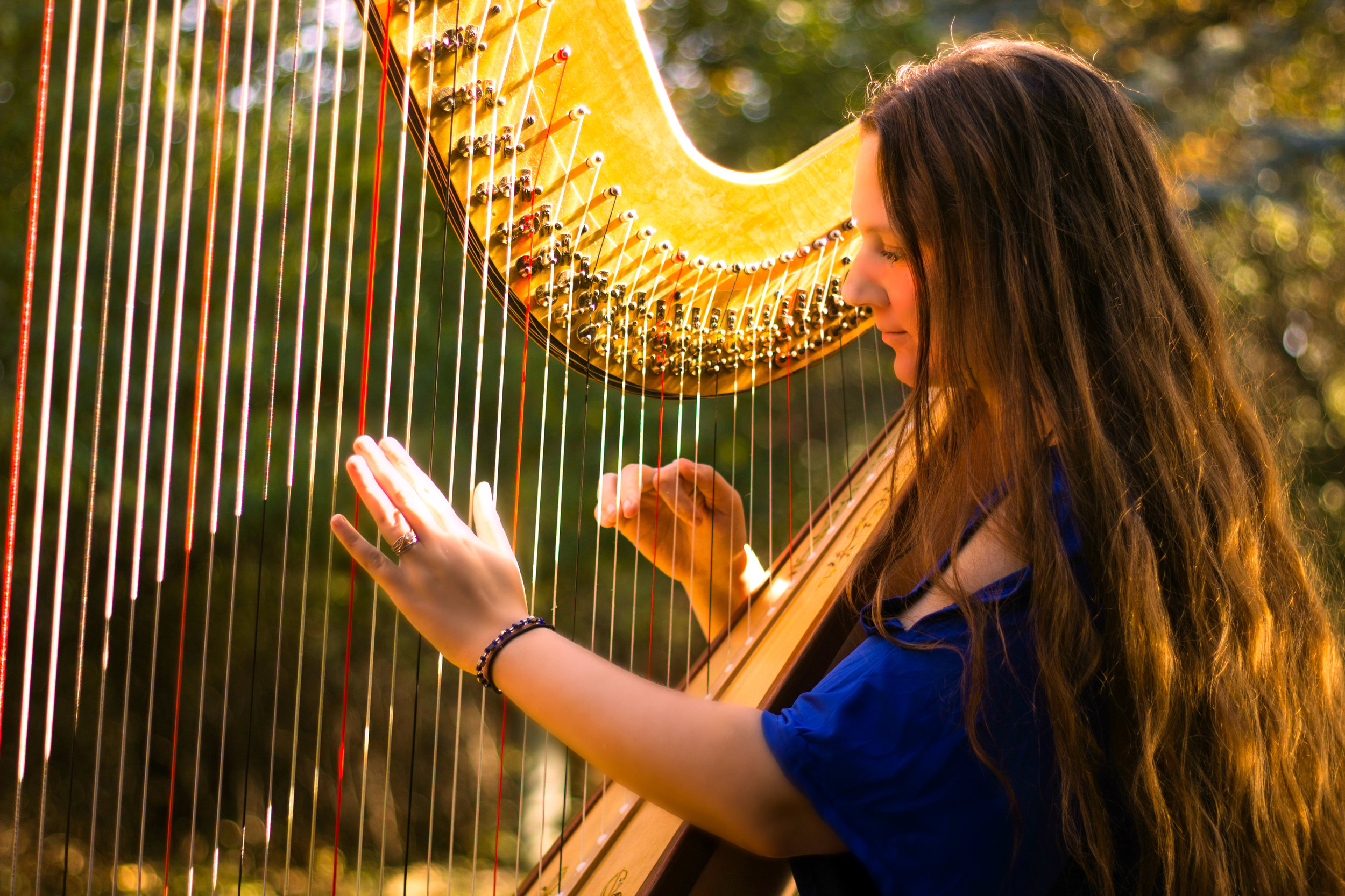 Michigan Harpist
