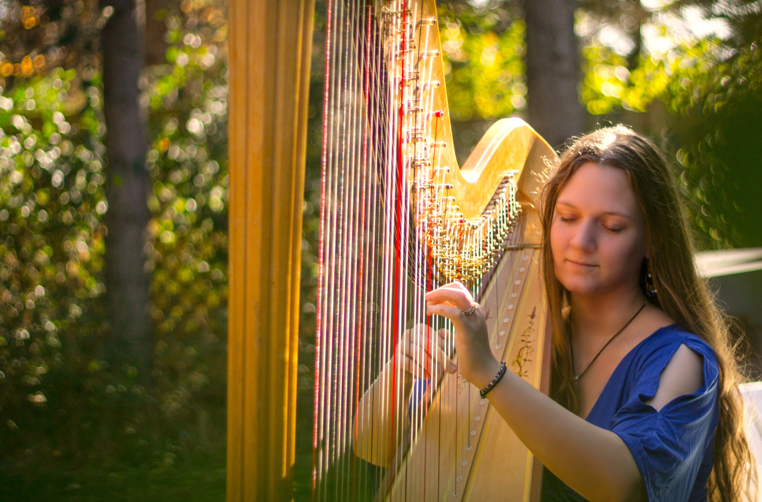 Michigan Harpist