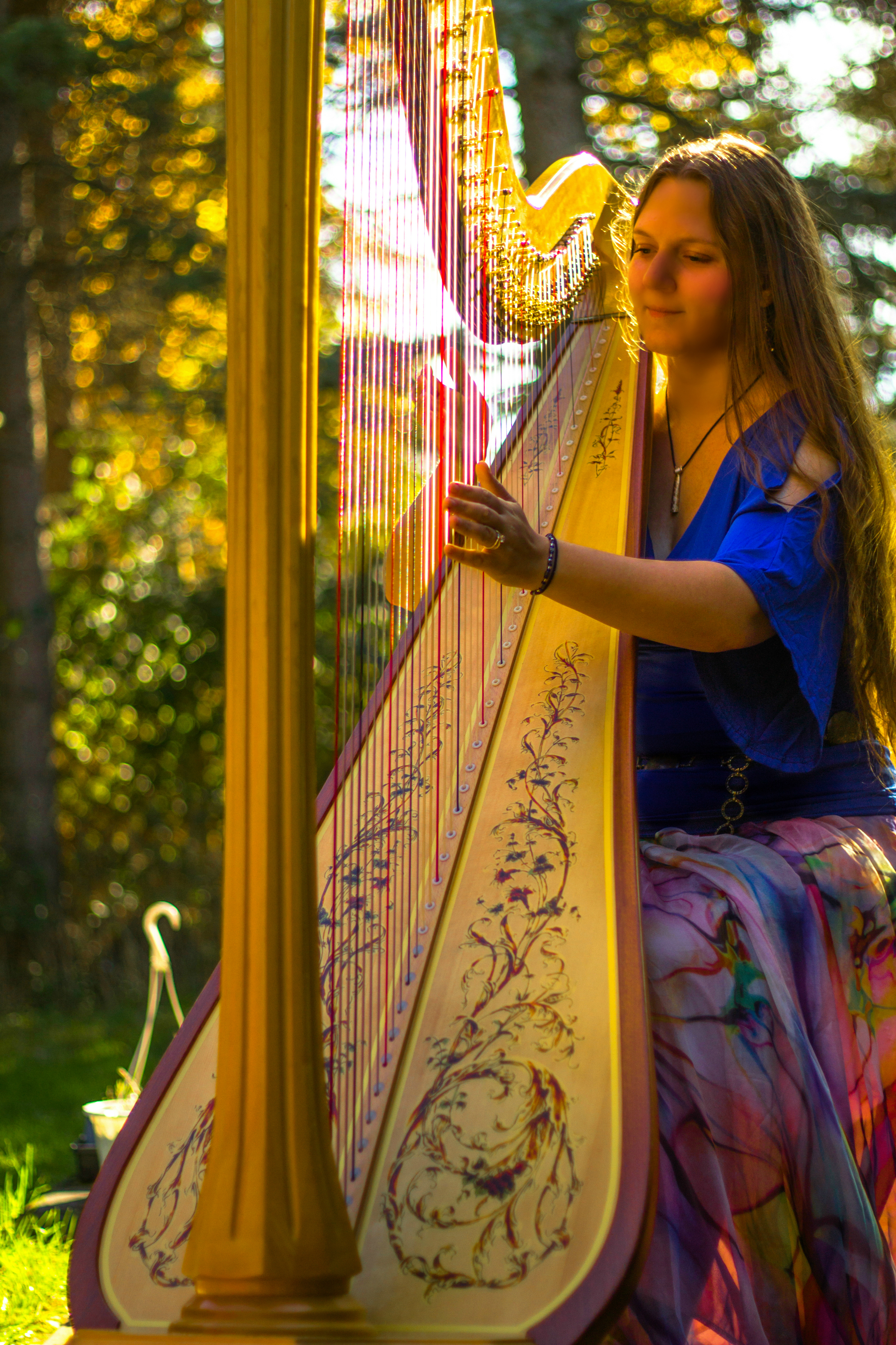 Michigan Harpist