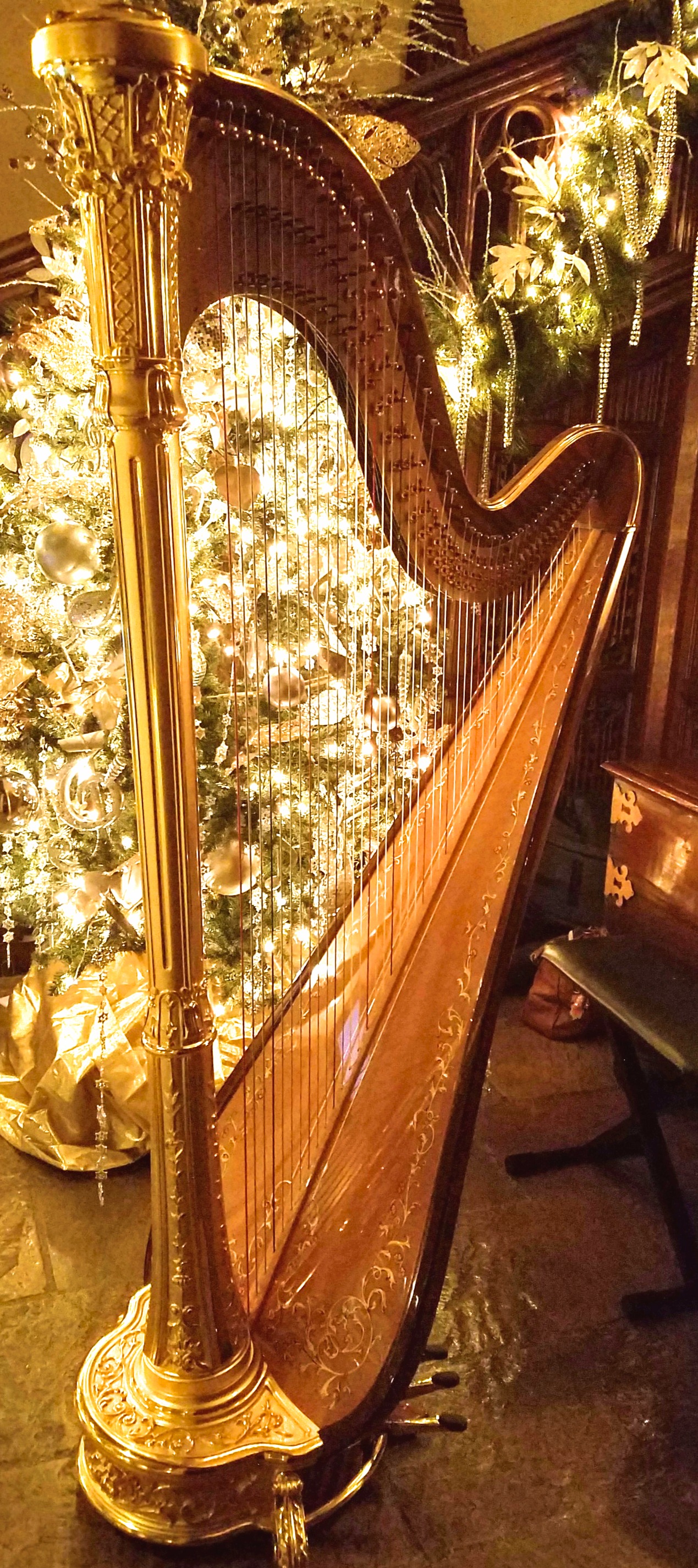 The Michigan Harpist Weddings and Events (16).jpg