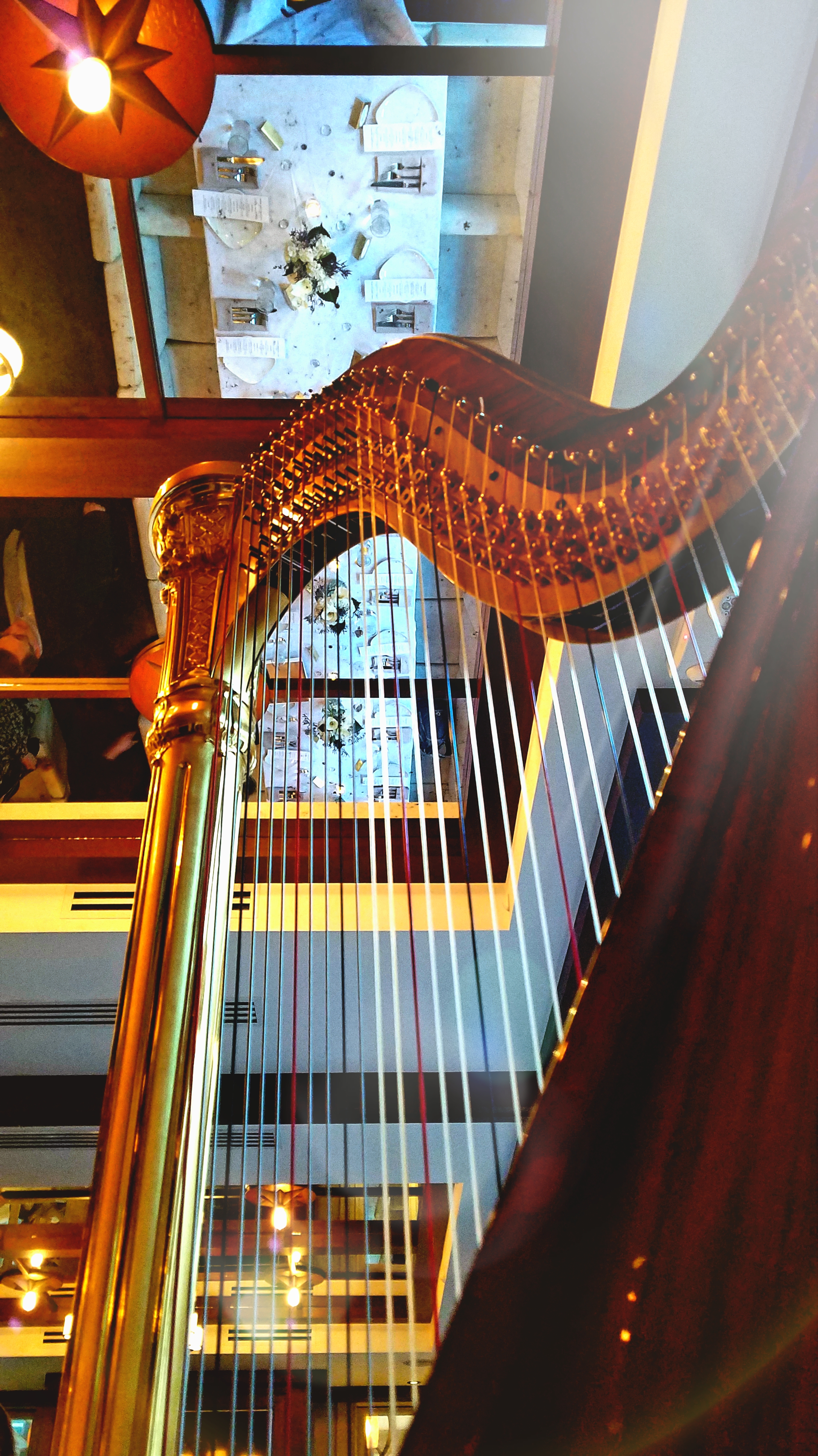 The Michigan Harpist Weddings and Events (17).jpg