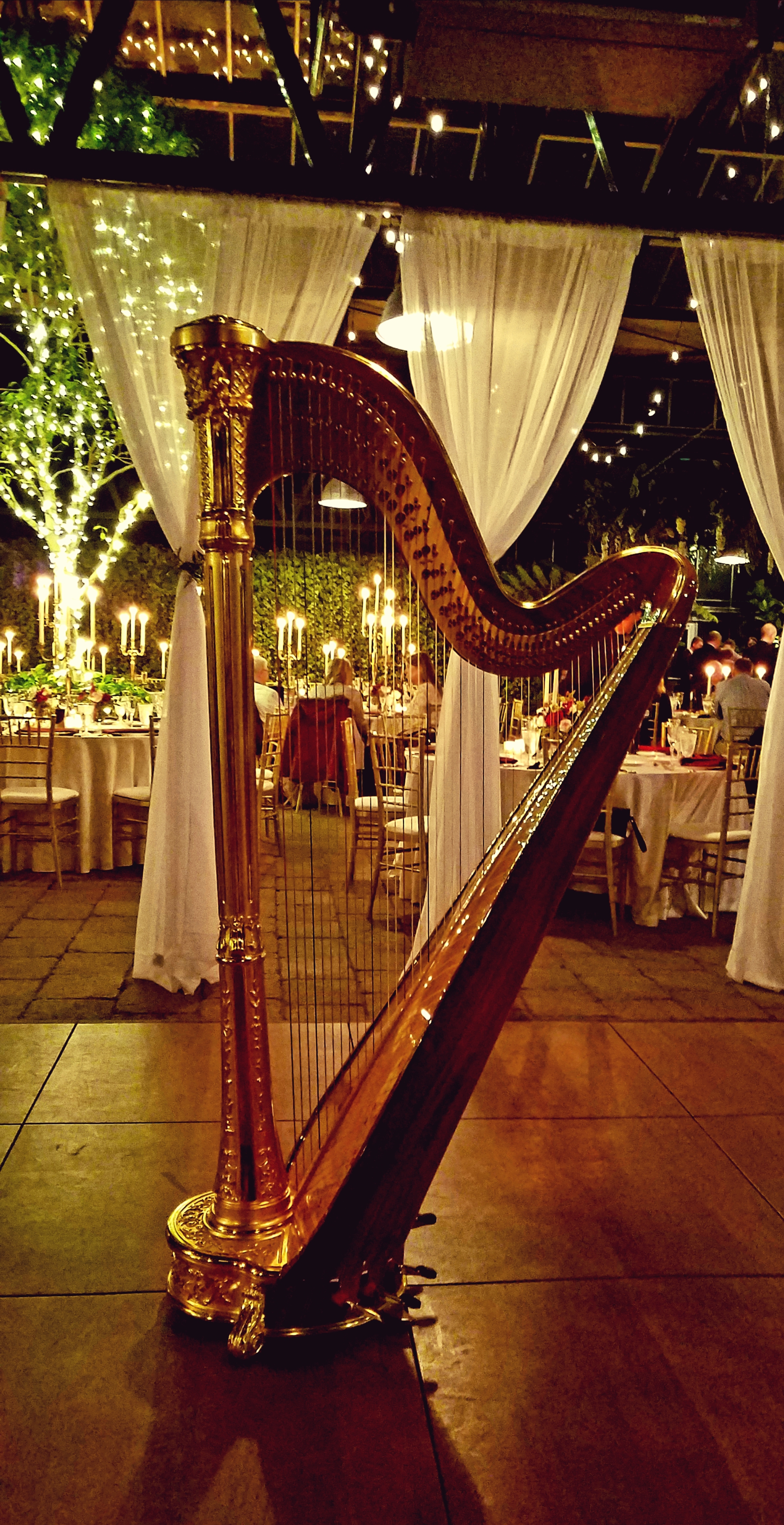 The Michigan Harpist Weddings and Events (21).jpg