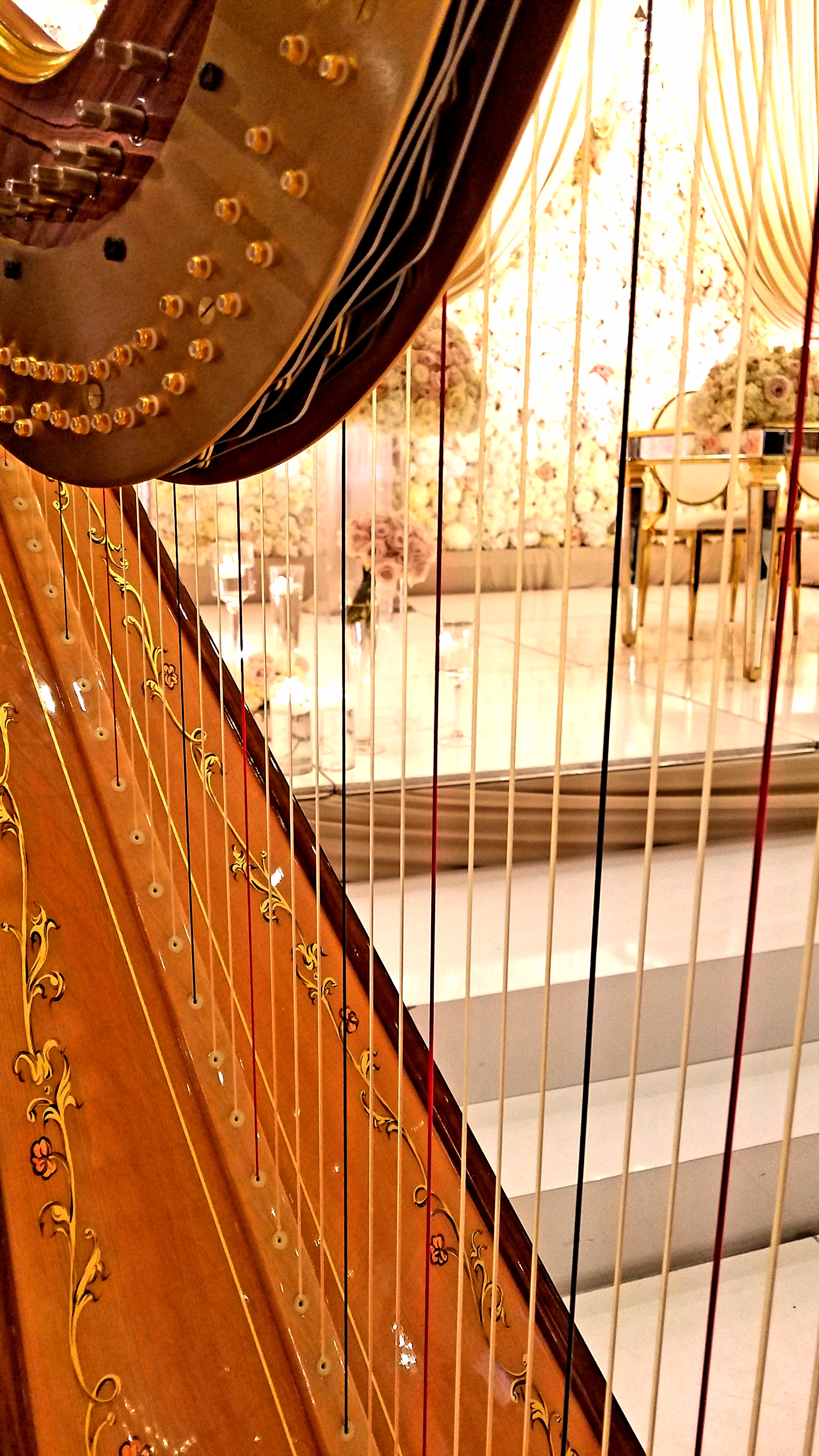 The Michigan Harpist Weddings and Events (40).jpg