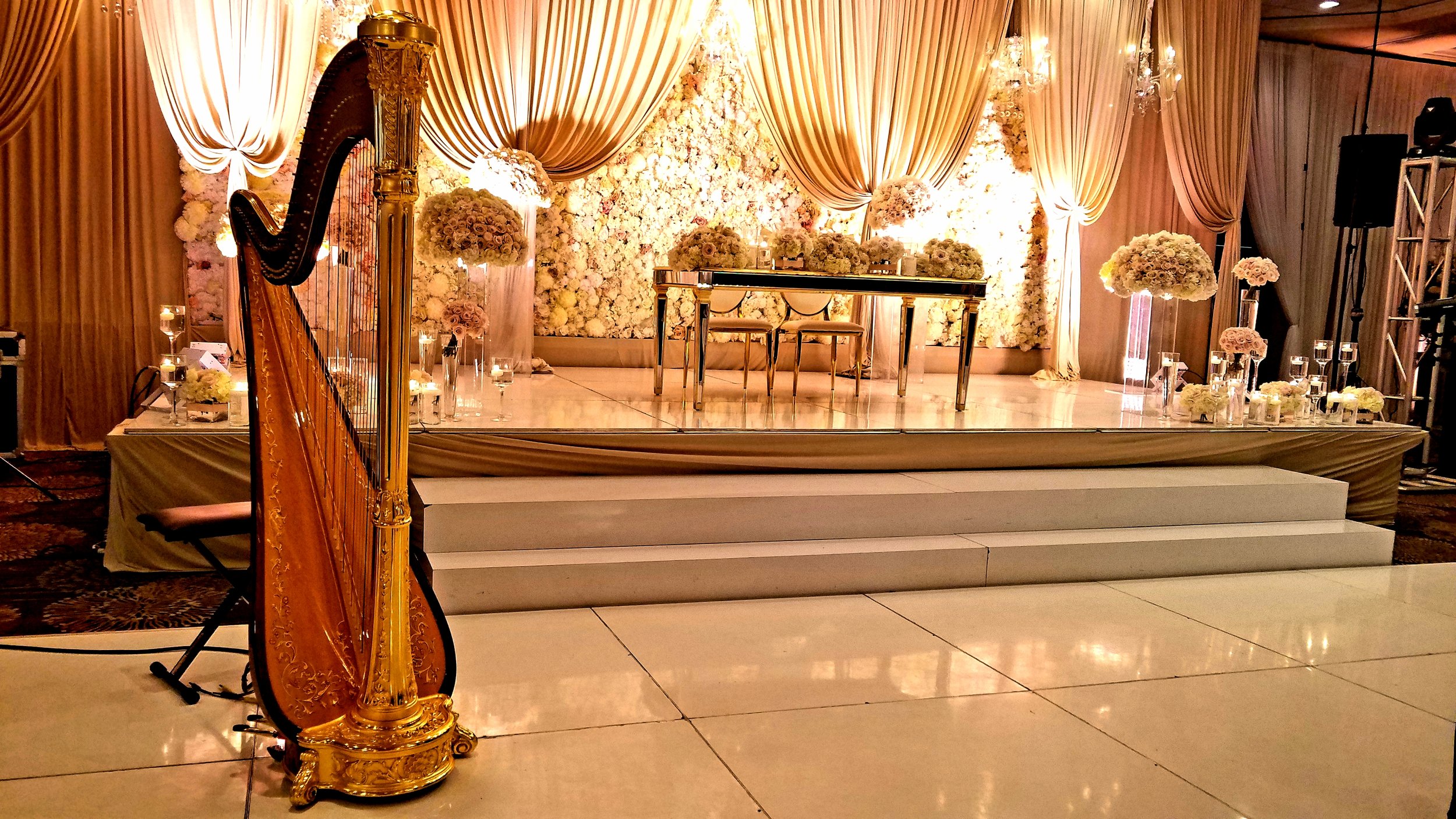 The Michigan Harpist Weddings and Events (41).jpg