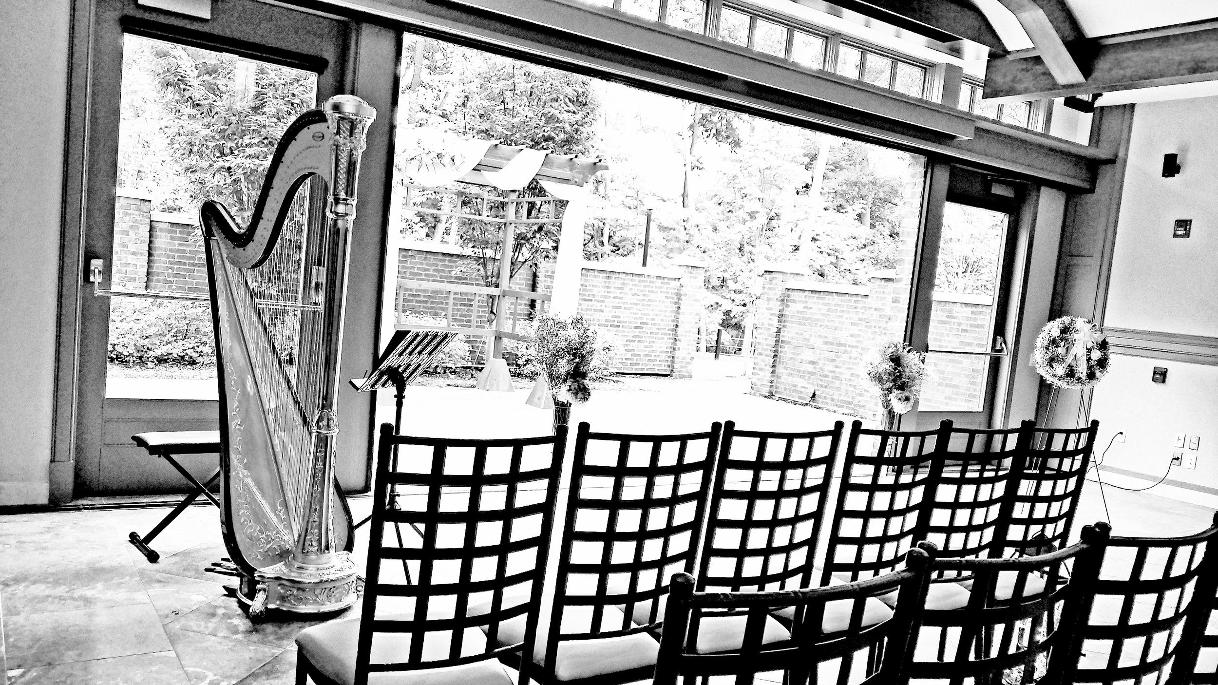 The Michigan Harpist Weddings and Events (42).jpg