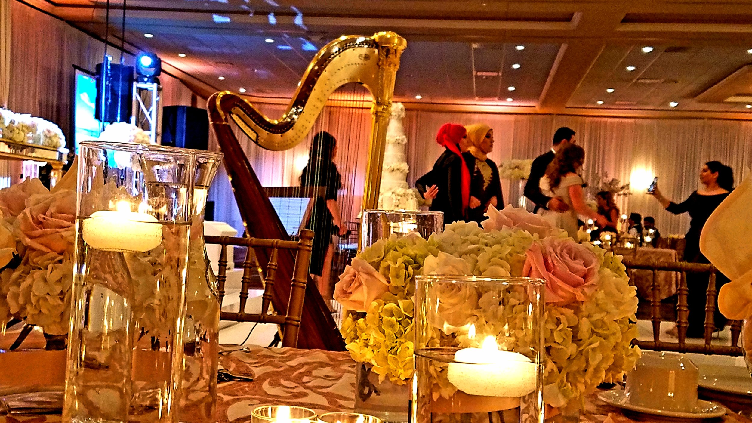 The Michigan Harpist Weddings and Events (39).jpg