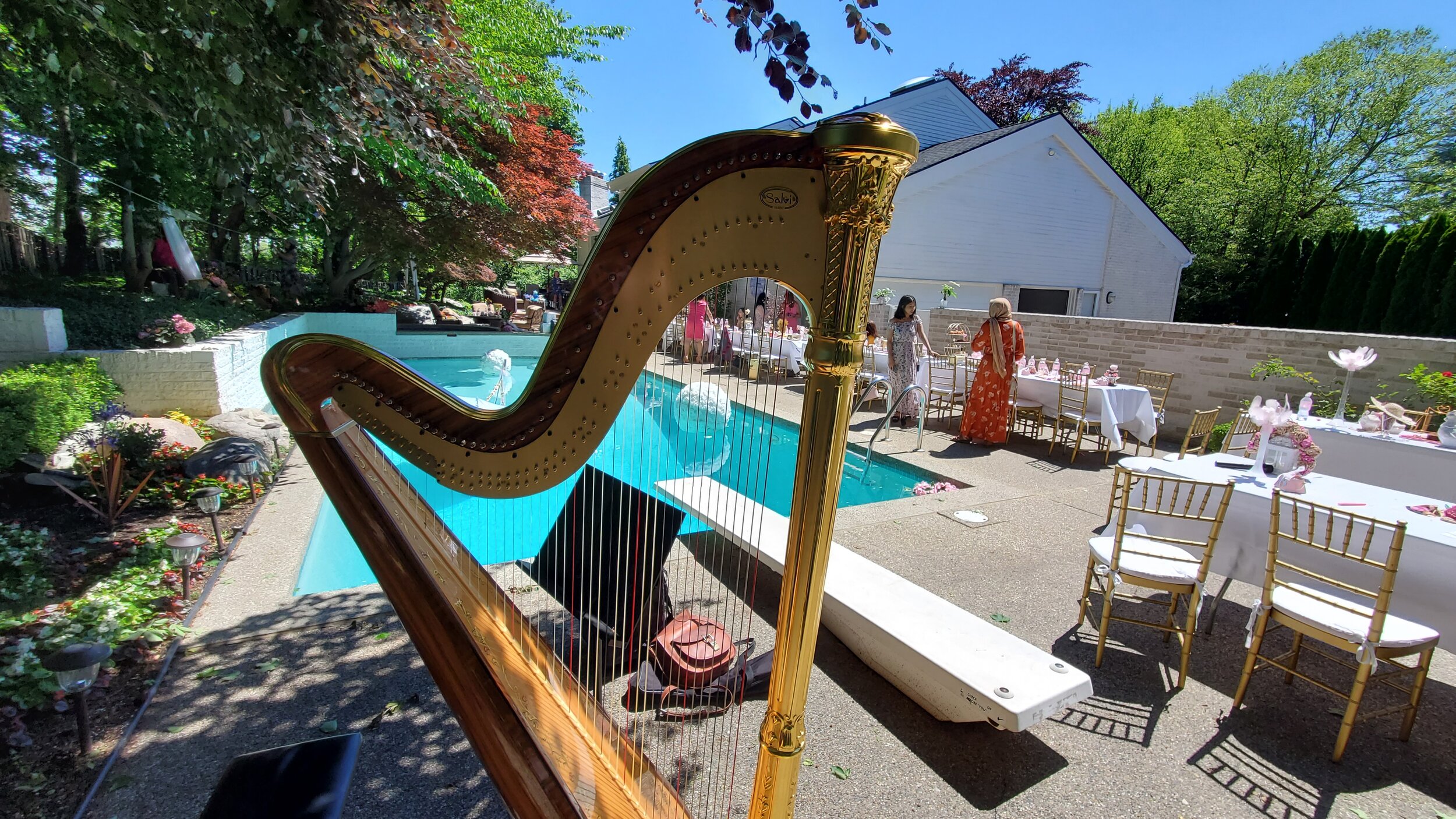 The Michigan Harpist - Weddings & Fine Events
