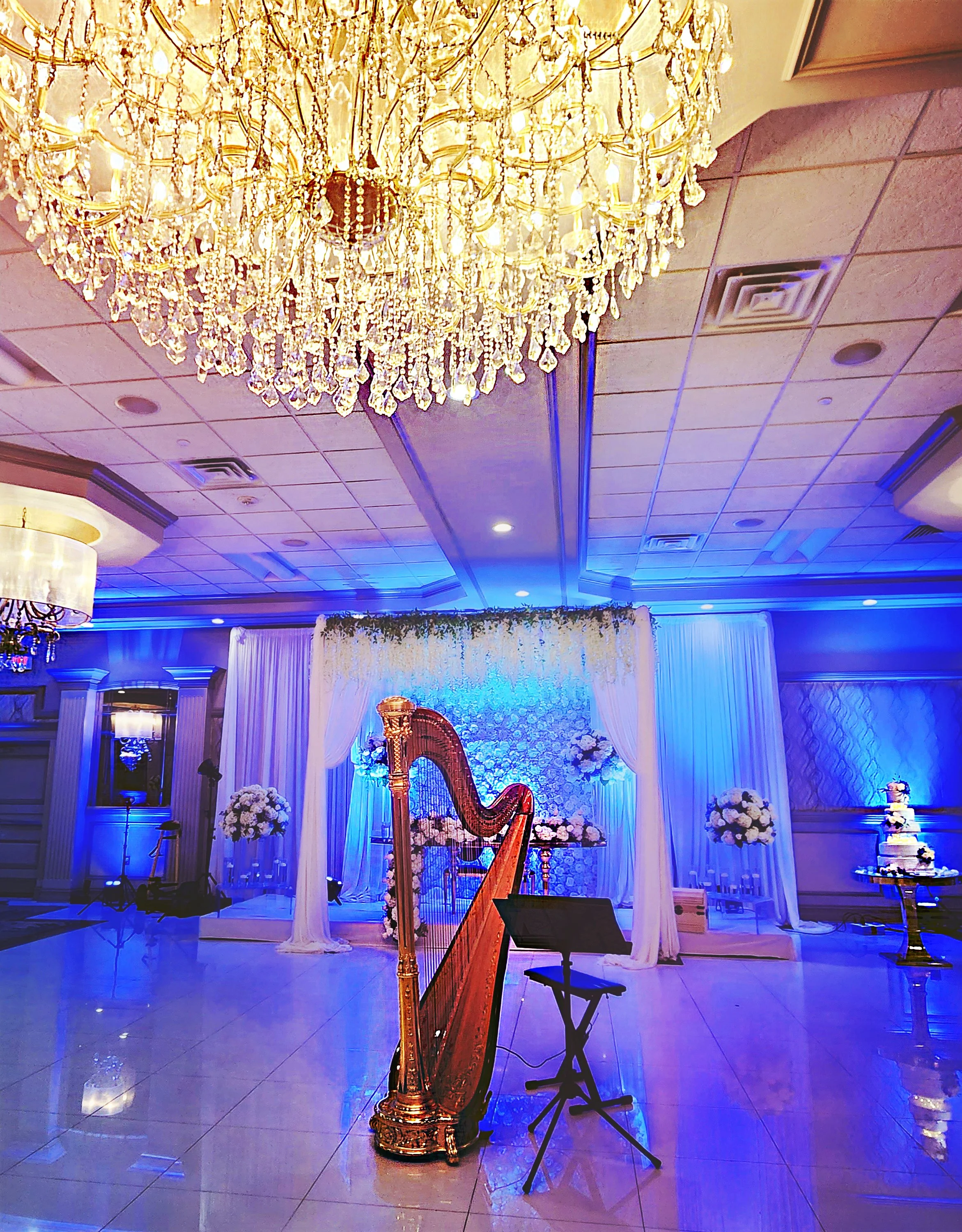 Michigan Harpist Weddings, Events, Harp Lessons