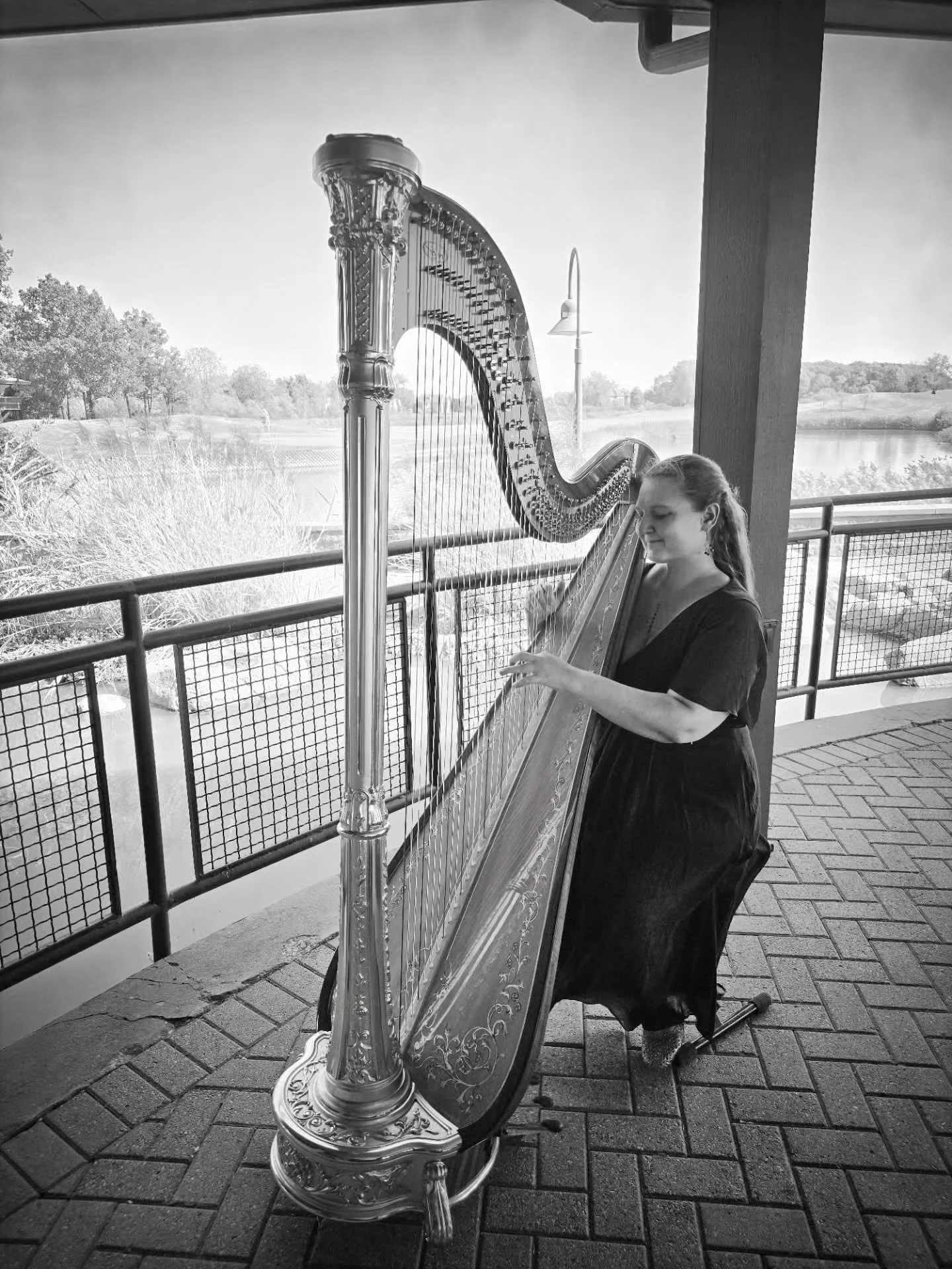 Www.TheMichiganHarpist.com
Www.youtube.com/@themichiganharpist

***
3/5 Weddings this week!
1/2 Weddings on Saturday!

I was so happy to play for this sweet couple's wedding! They had a TON of fun going through my repertoire and picking out WAY more 