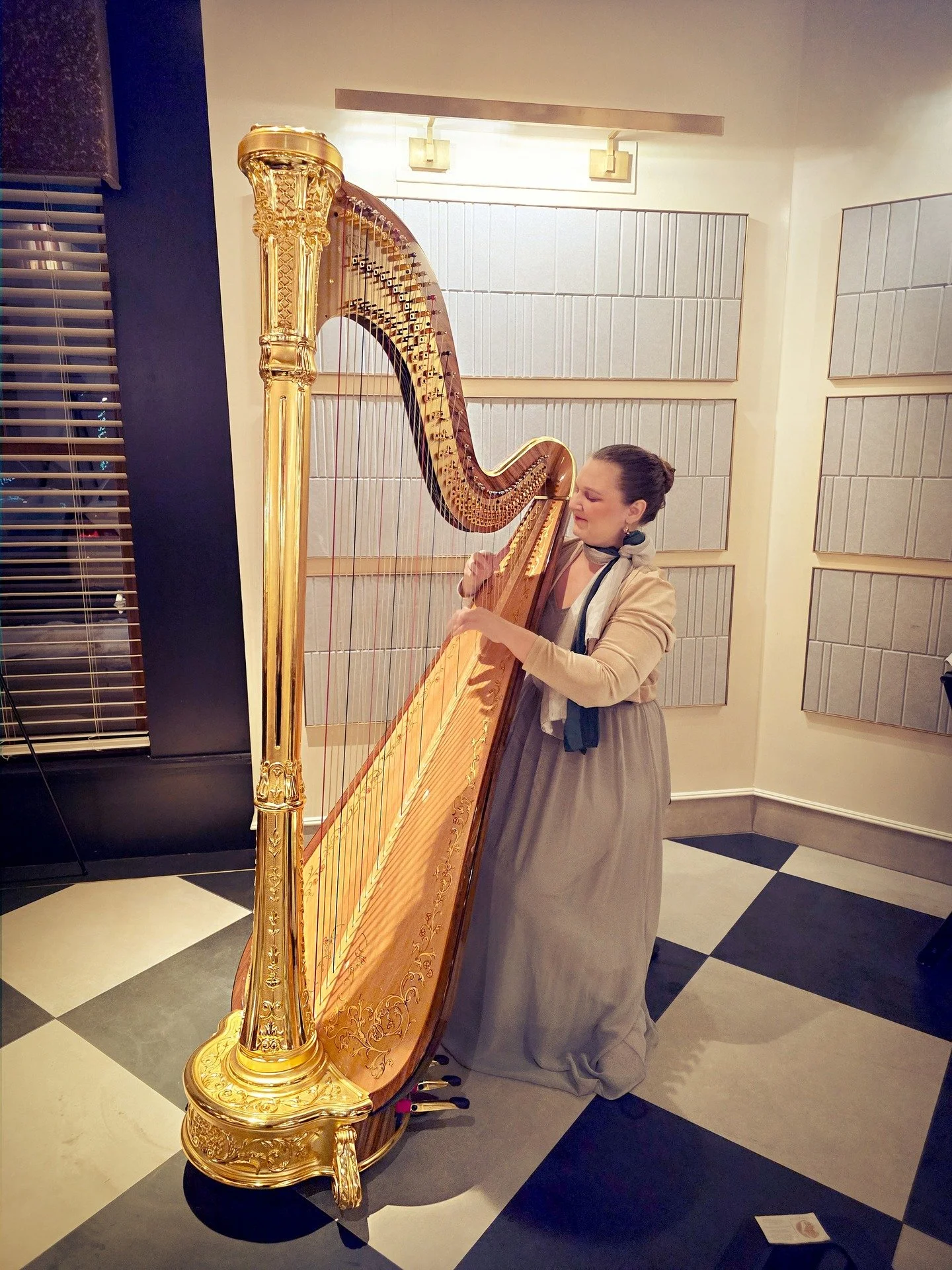 Www.TheMichiganHarpist.com
Www.youtube.com/@themichiganharpist

***
First of LAST FOUR EVENTS of 2025!!!!

I was so thrilled to play for the&nbsp;Macomb&nbsp;Bar Association's end-of-year holiday party!

My point-of-contact client came up to&nbsp;me 