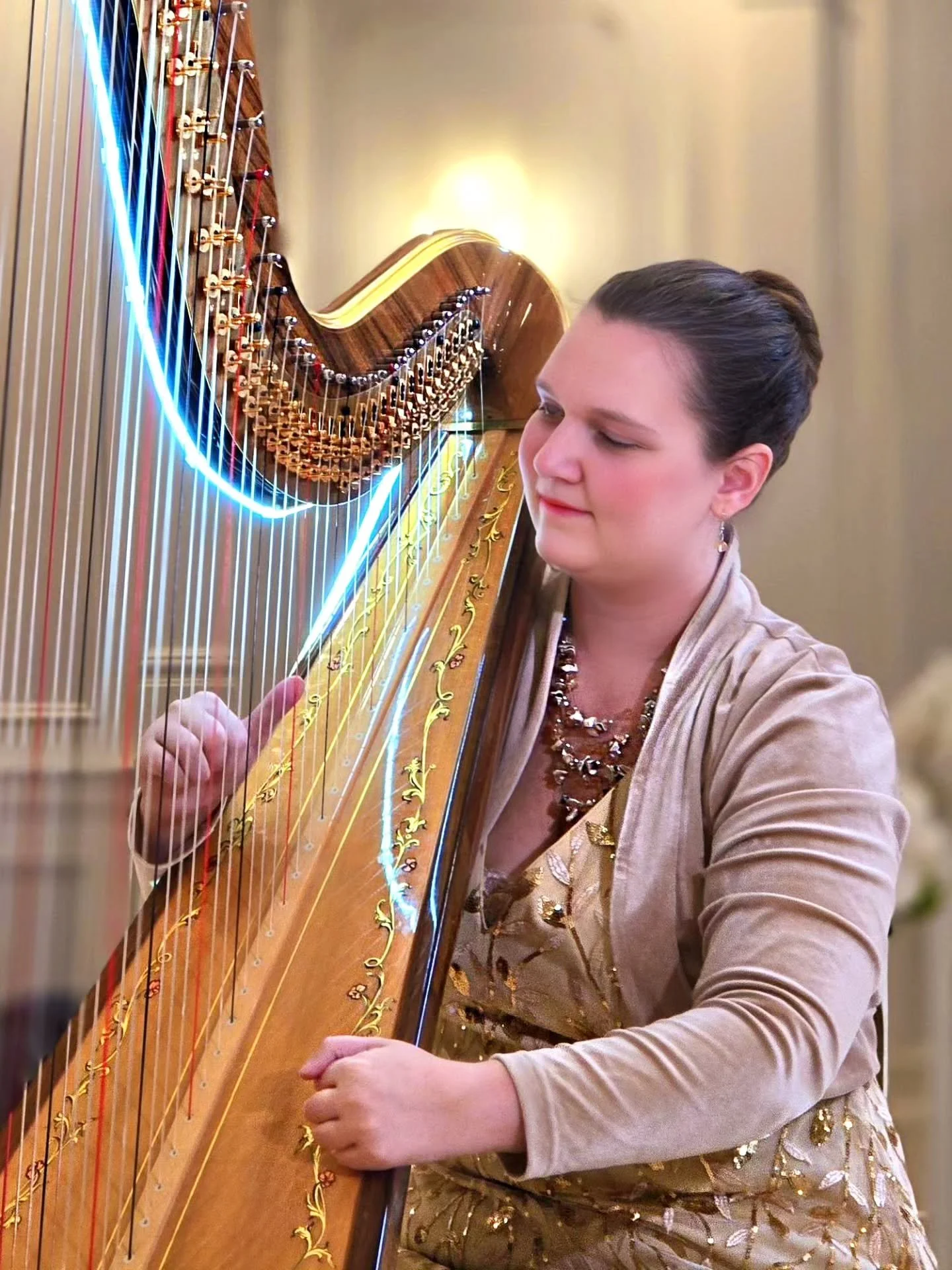 Www.TheMichiganHarpist.com
Www.youtube.com/@themichiganharpist

***

FIRST PERFORMANCE OF 2026!

I'm back, everyone!! I have a ton of fun events coming up, as well as some new repertoire I've been secretly working on. Stay in touch!!

I was excited t