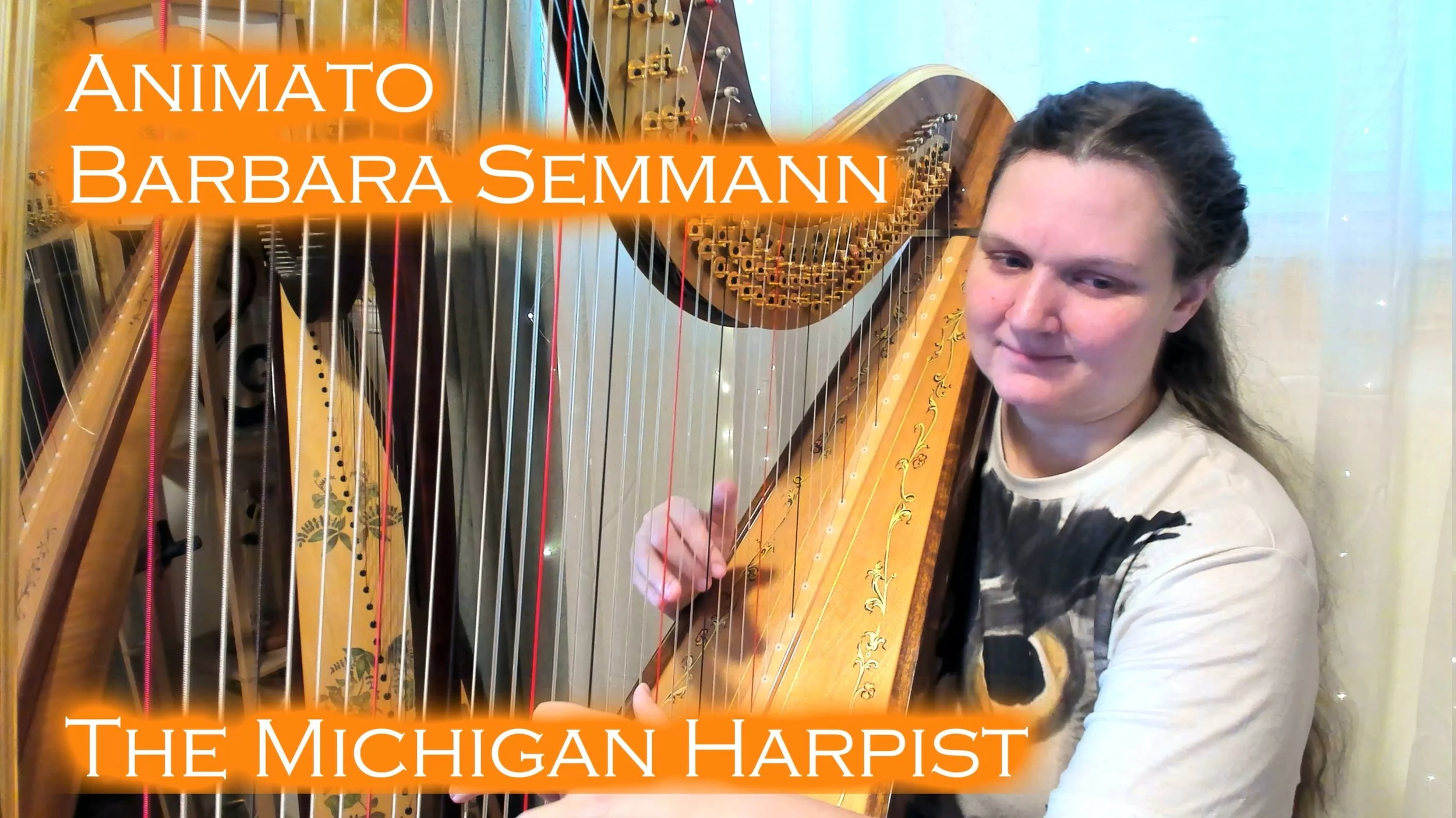 Animato (Barbara Semmann) on Harp - The Michigan Harpist