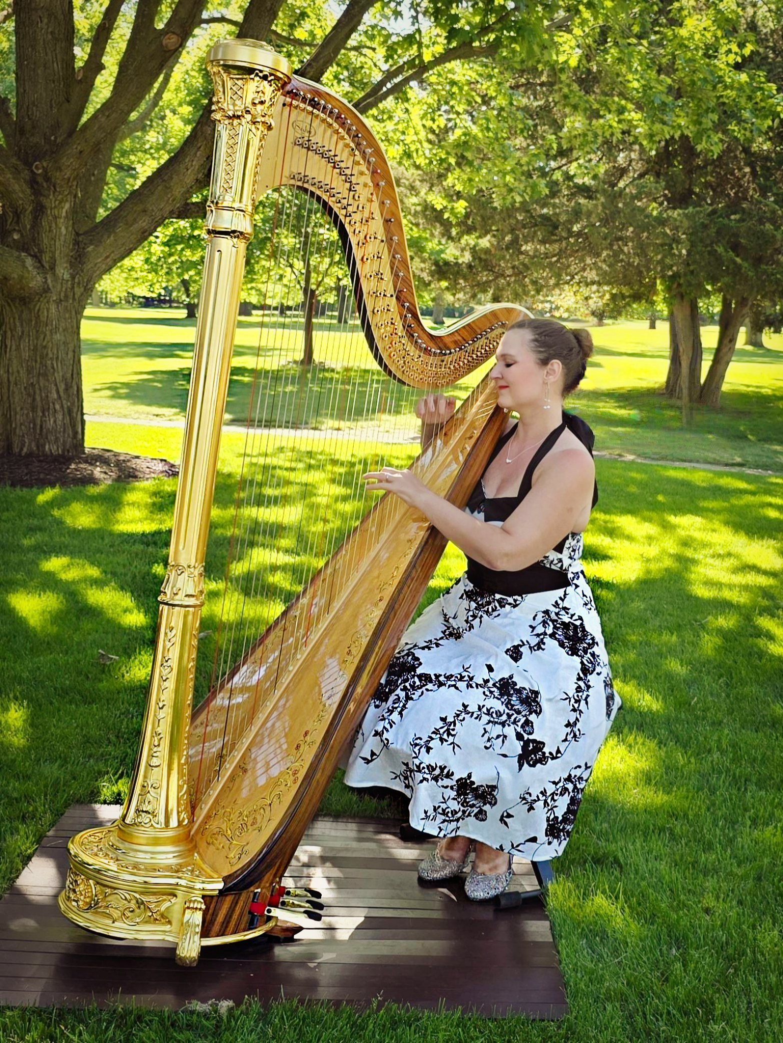 "“Chanah is a truly amazing Harpist. We were so impressed with the every step of the process. ...."