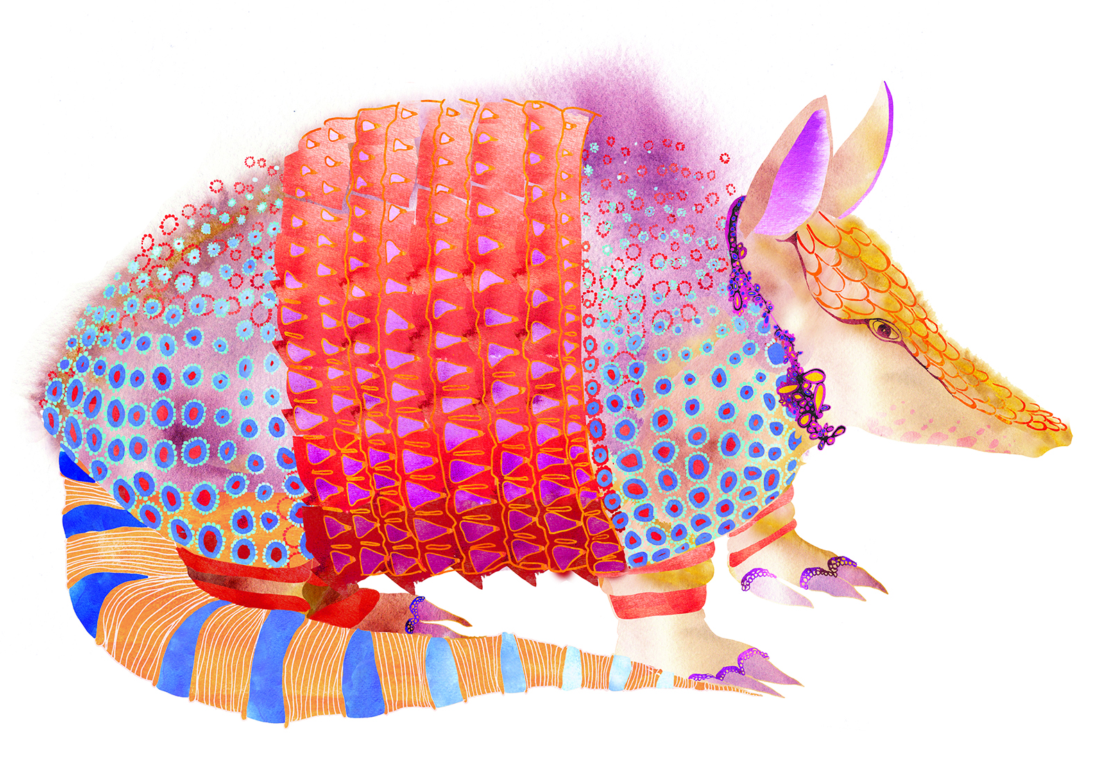 1 armadillo_x.jpg