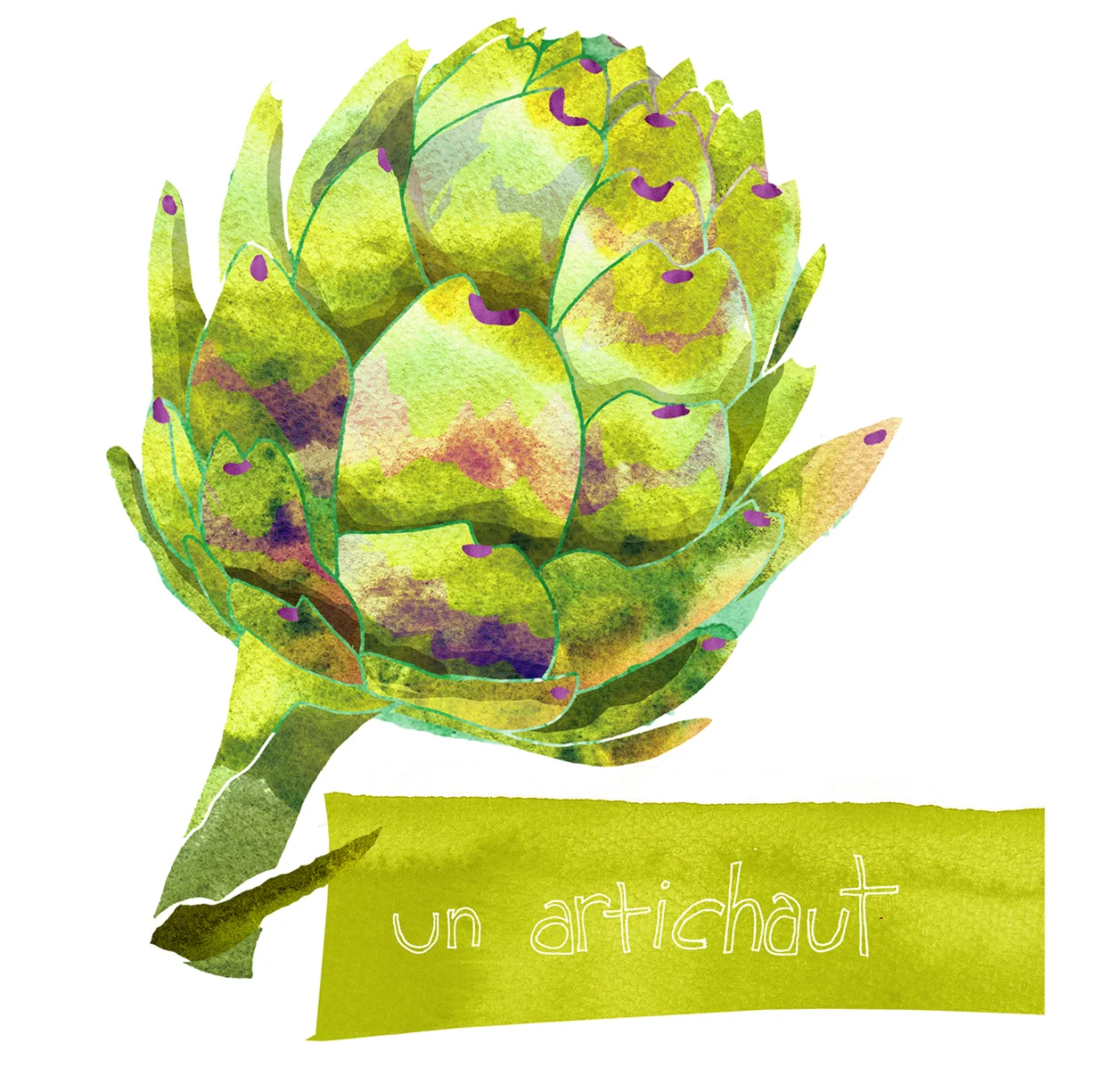 un artichaut_x.jpg