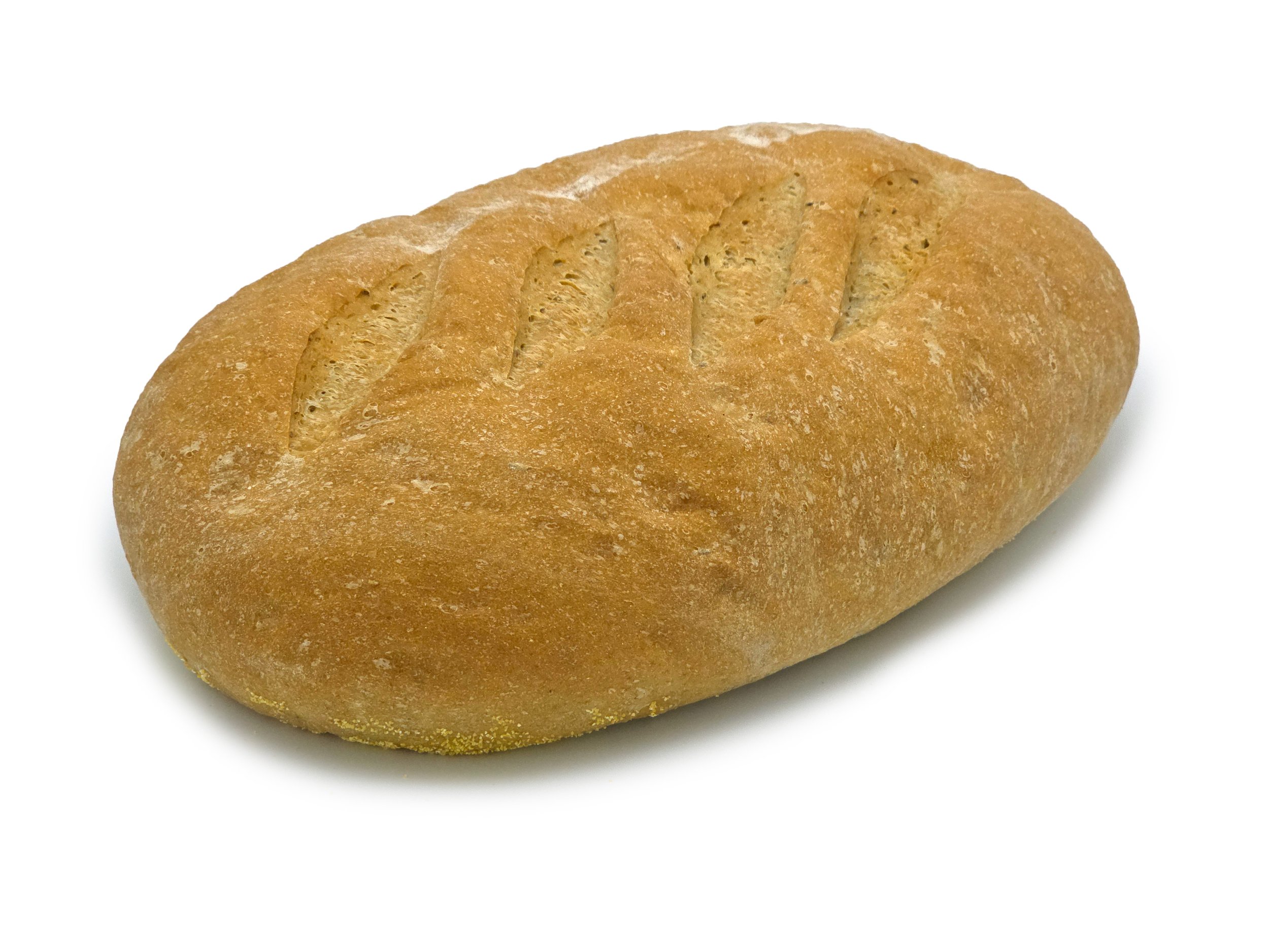 Rye FF - 20260123_103725.jpg