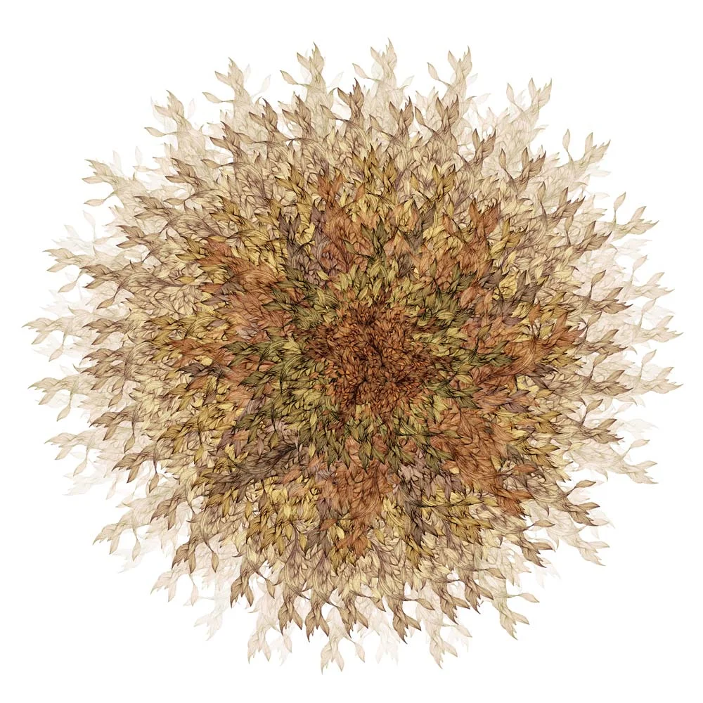 Cercle Naturelle
