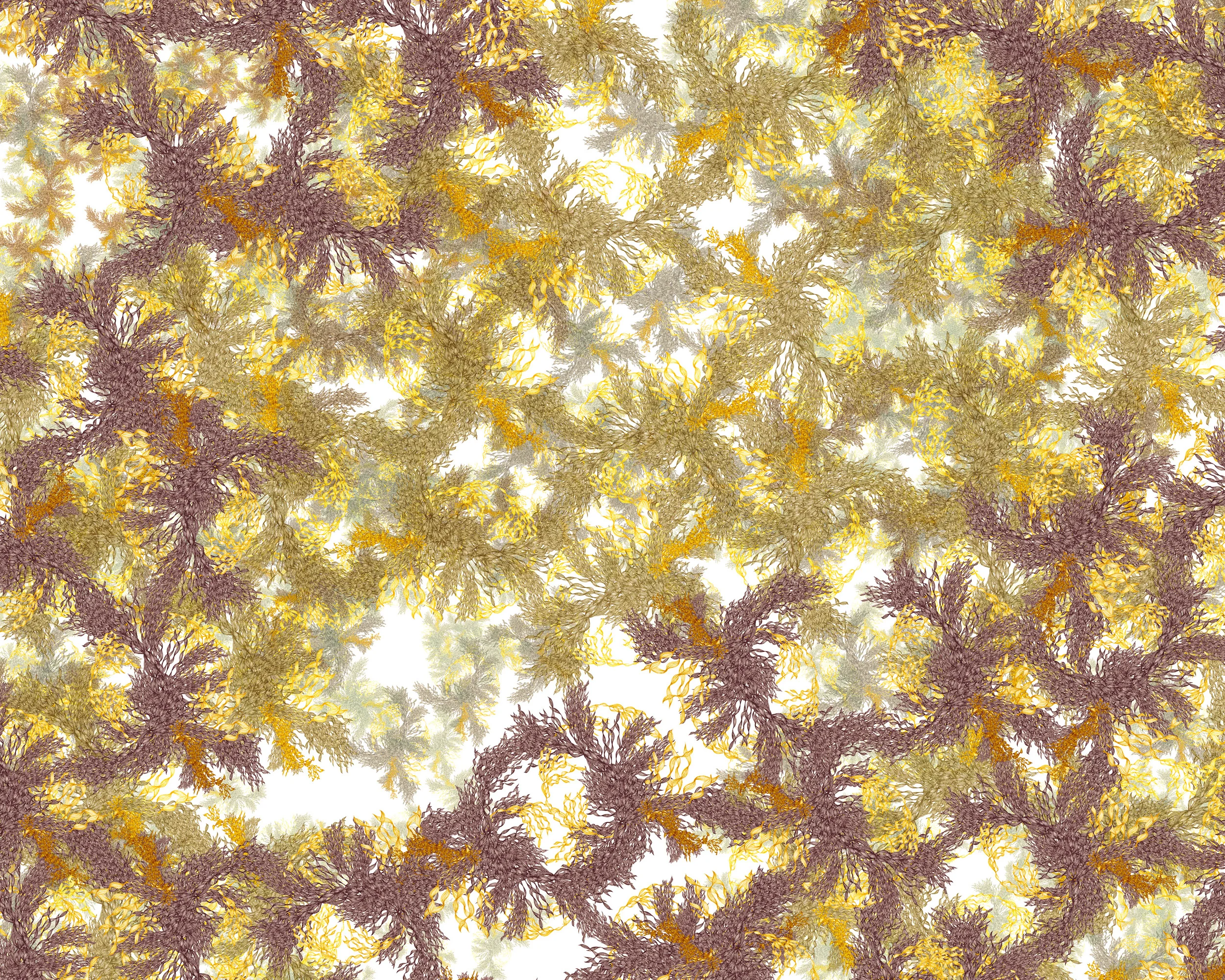 Feuille