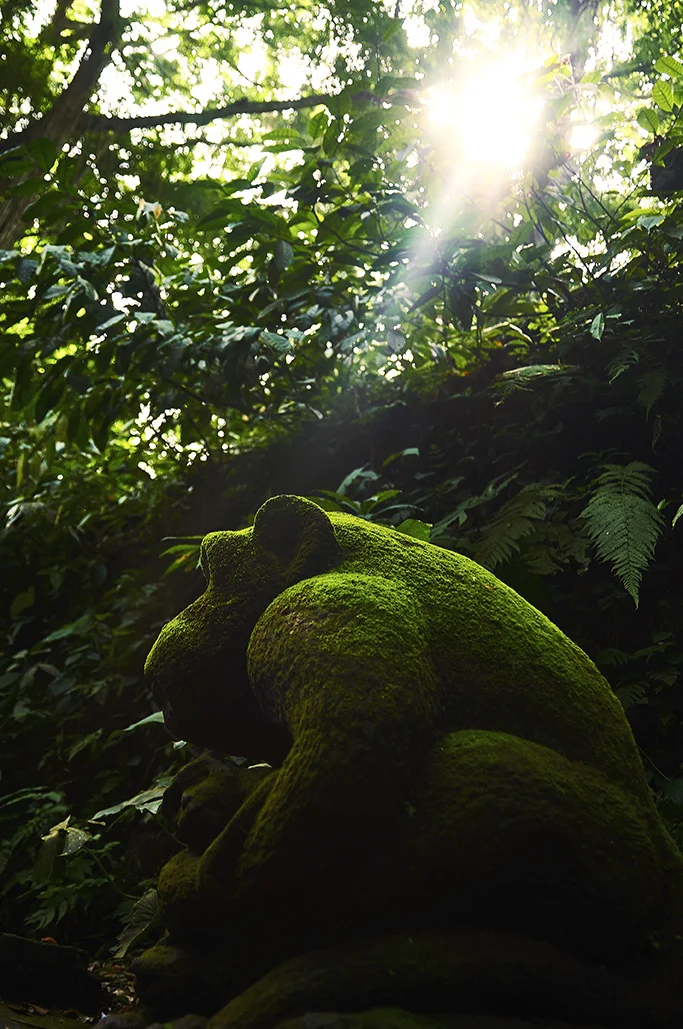 Monkey_Temple