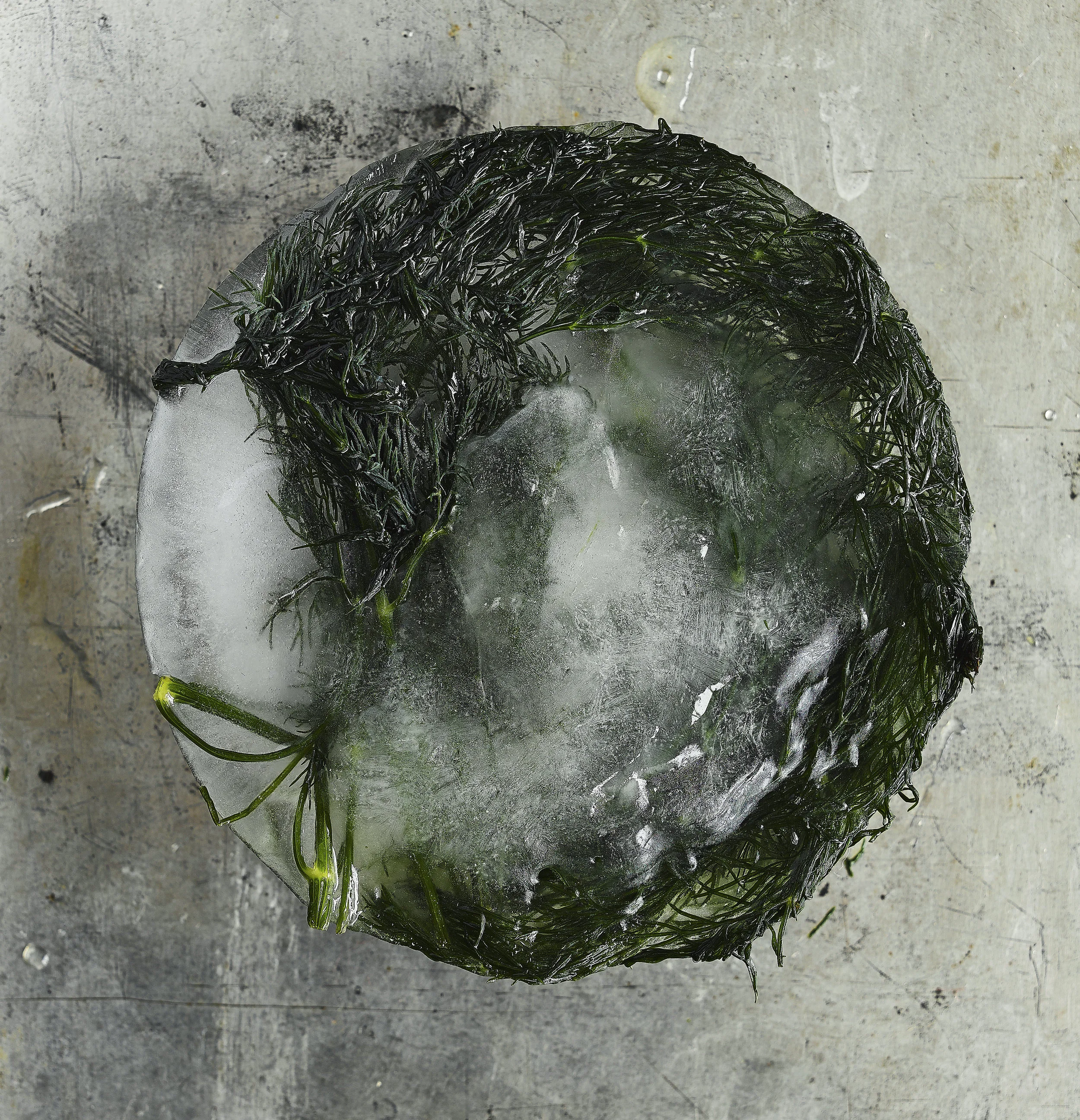 Iced_I