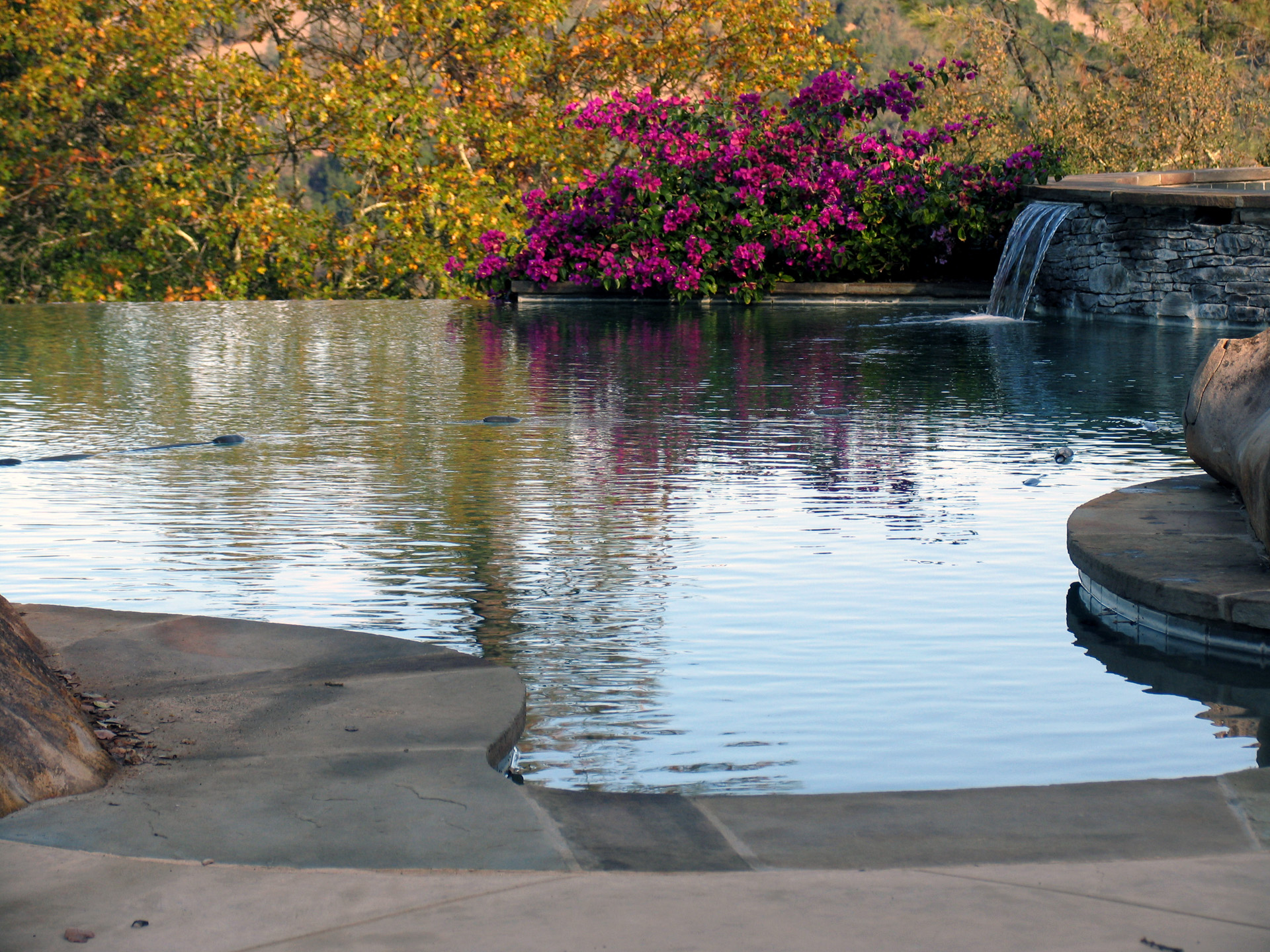 LONG POOL WITH FLOWERS.JPG