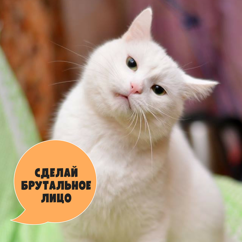 Брутальное лицо.png