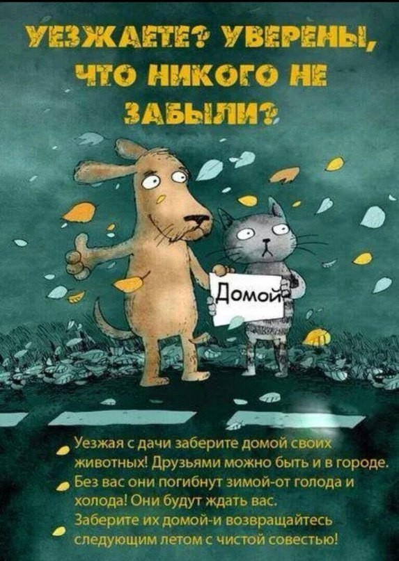 Источник: ok.ru