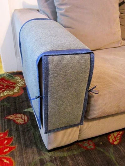коты3.jpg