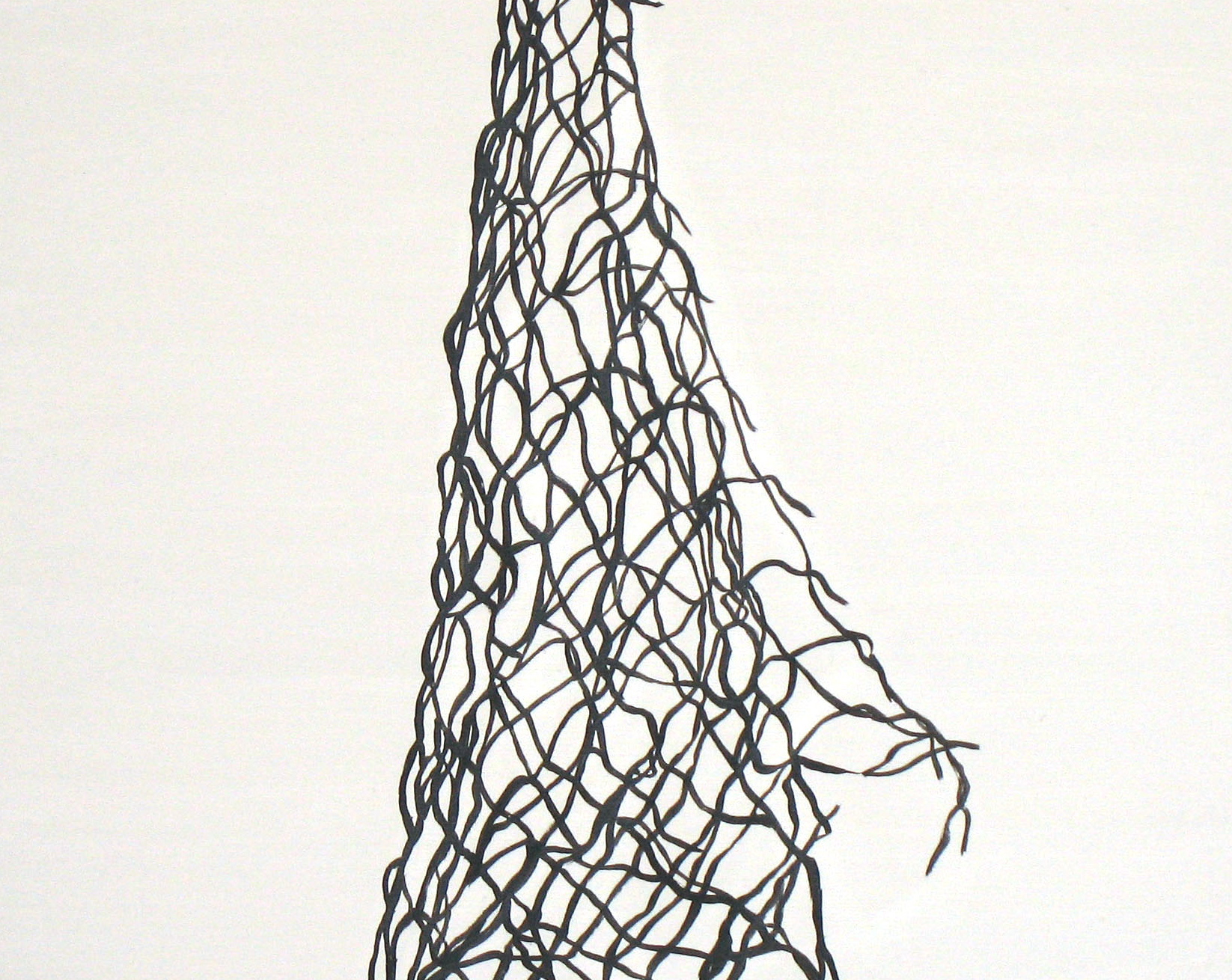 net (Copy)