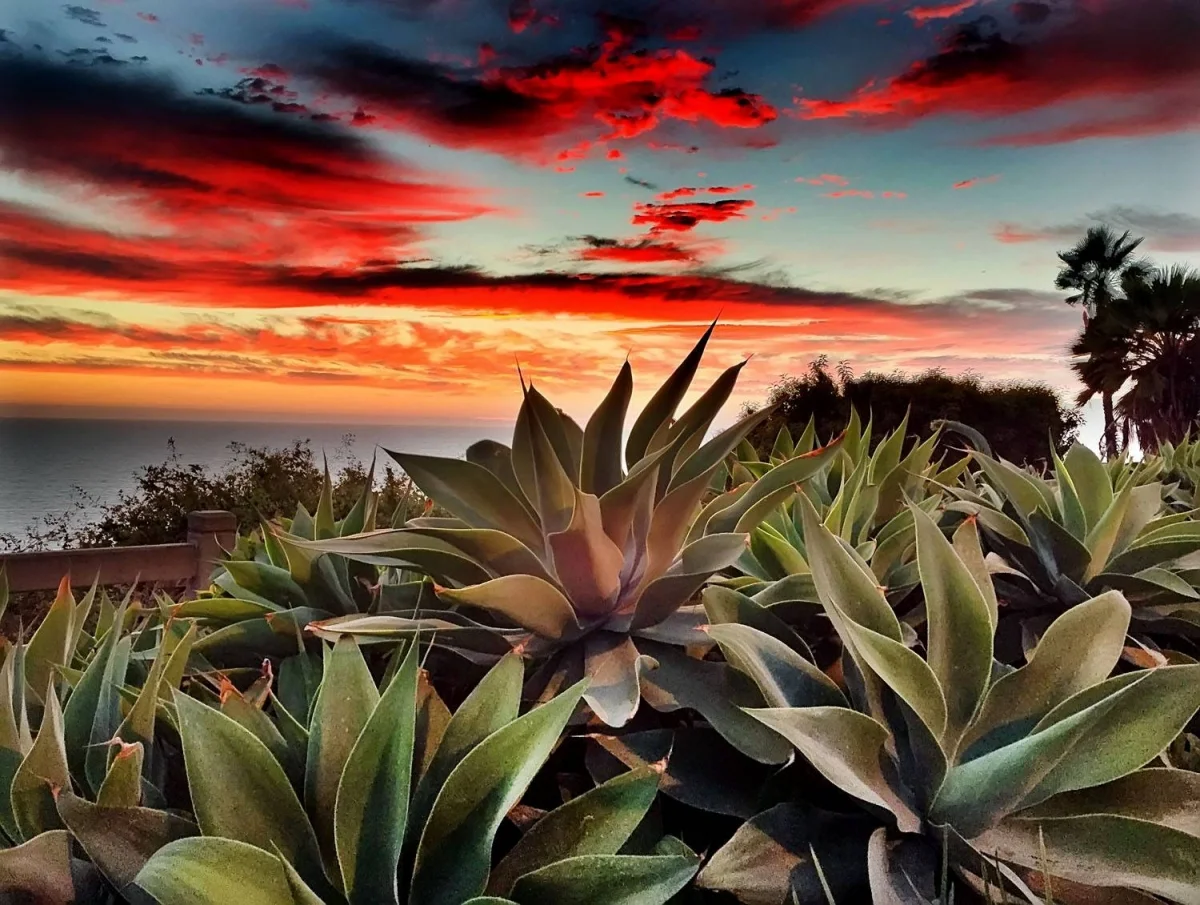 KennerlyPalisadesSunset1.jpg
