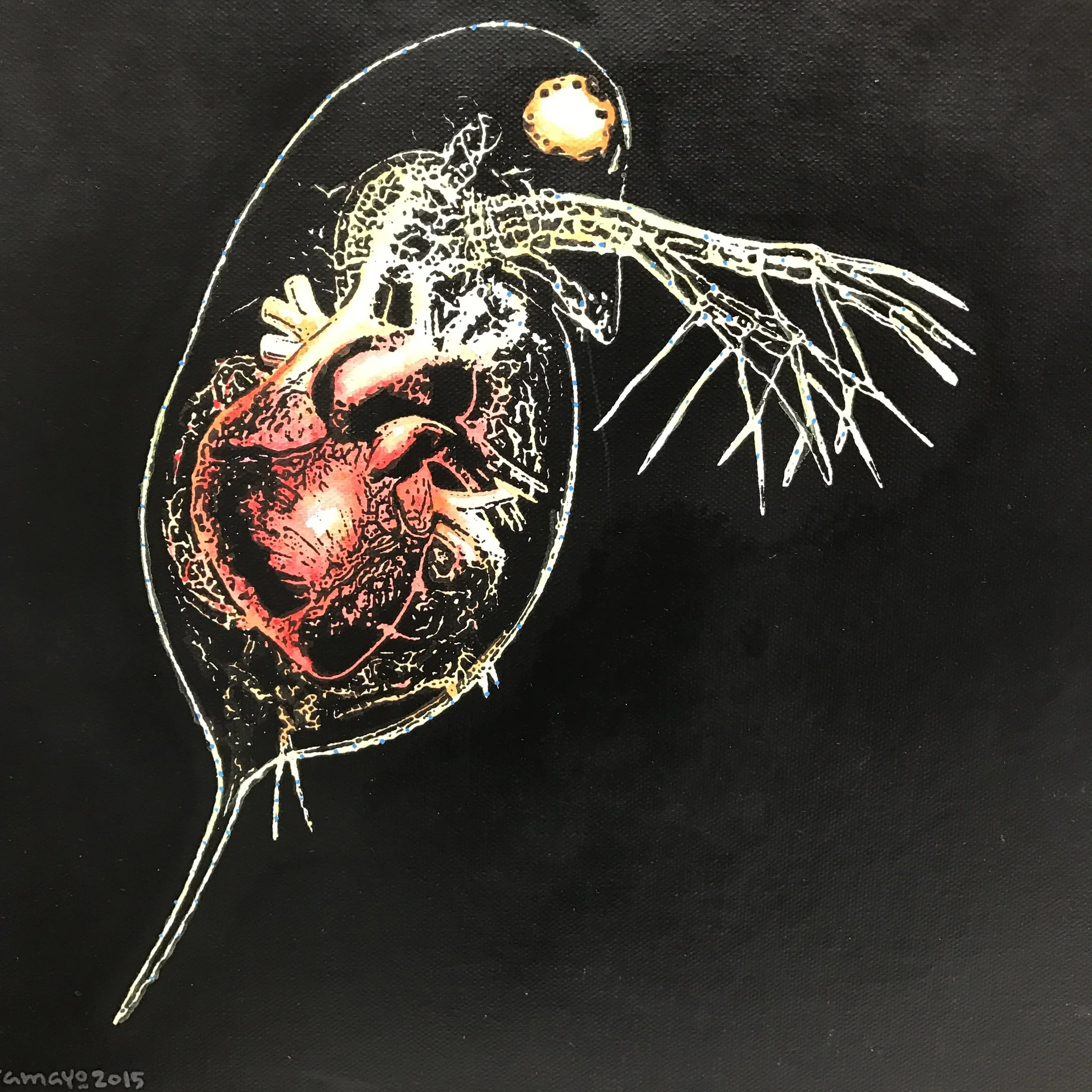 Reynerio Tamayo, Plankton Series, 12 X 12, Acrylic on Canvas 