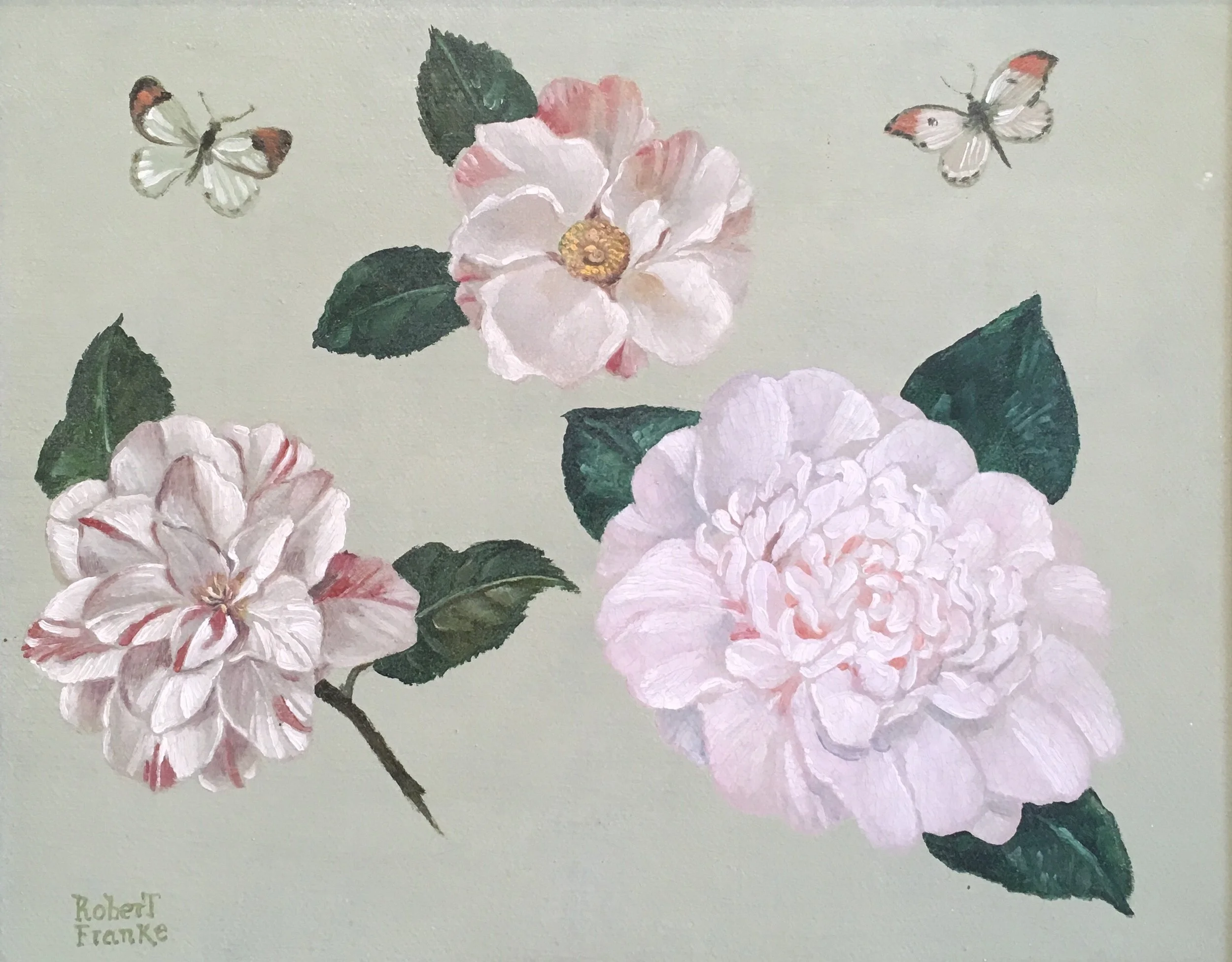 Robert Franke's "Camellias", 8 x 10, Oil on Canvas at The Gallery On Greene