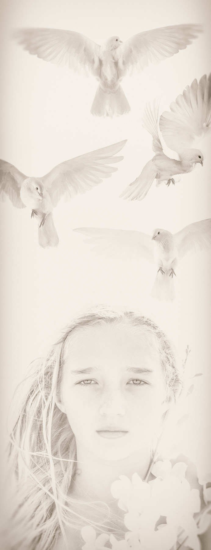 Saint Francis of Assisi, Orunla, 36 x 14, Archival Pigment On Paper, at the Gallery on Greene