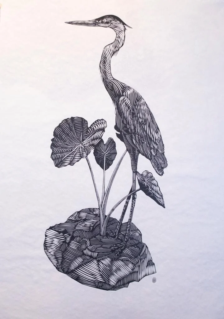 Osmeivy Ortega's "Garza"