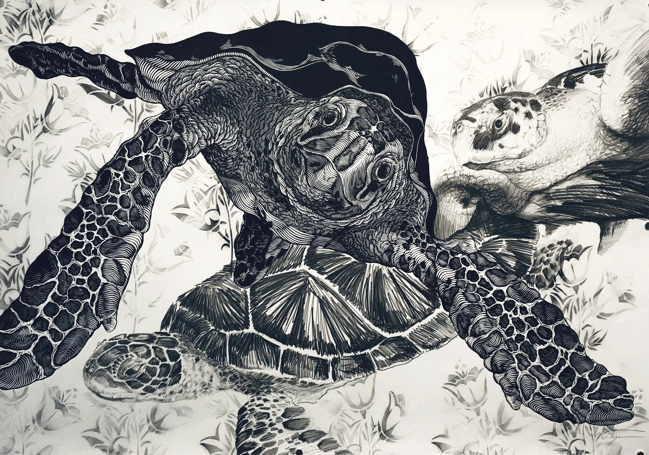 Osmeivy Ortega's "Don't Look At My Eyes"