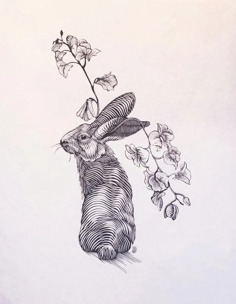 Osmeivy Ortega's "Conejo"