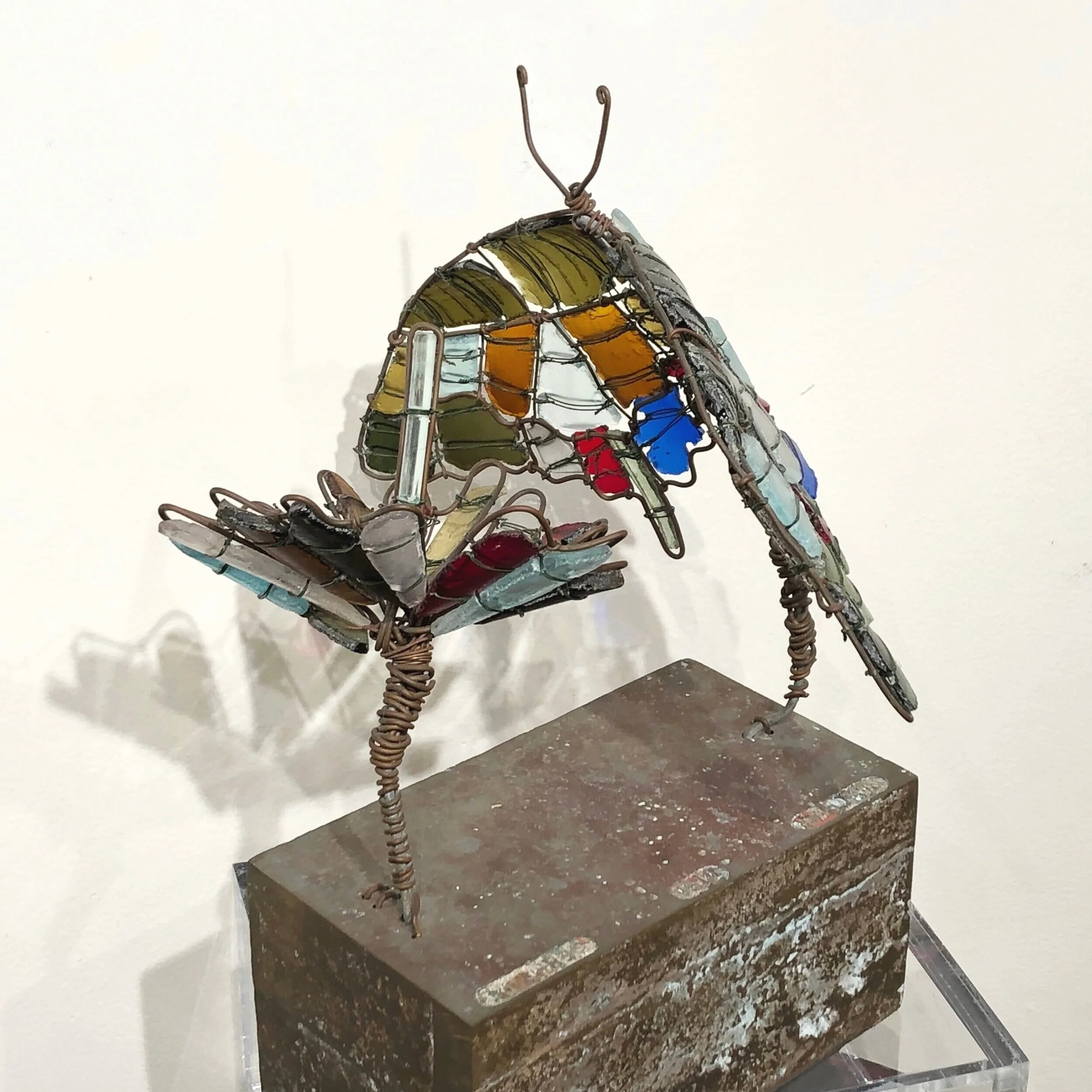 Bottle Bob, Butterfly