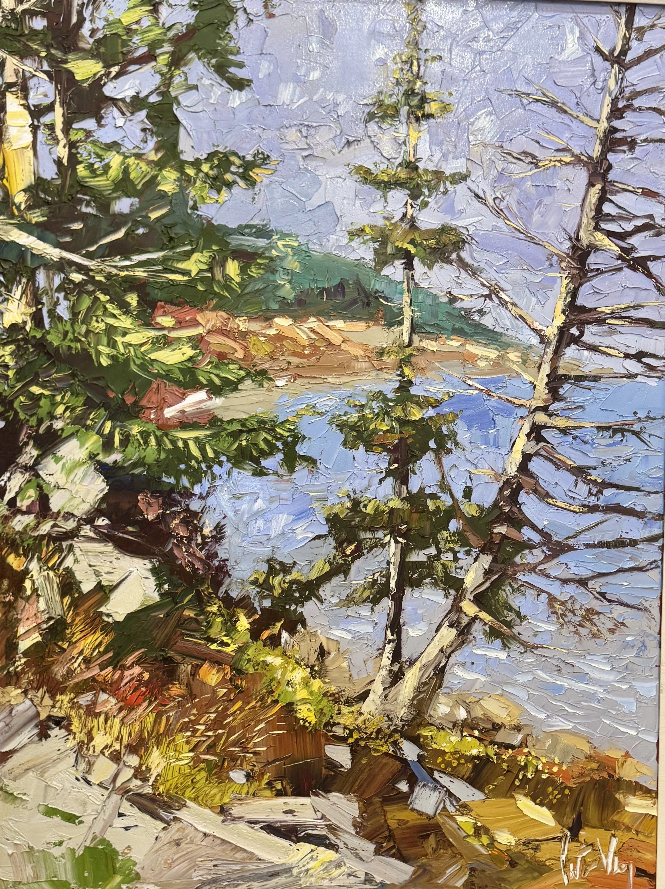 Peter Vey, Coastal Pines, 48" x 36", Oil on Linen