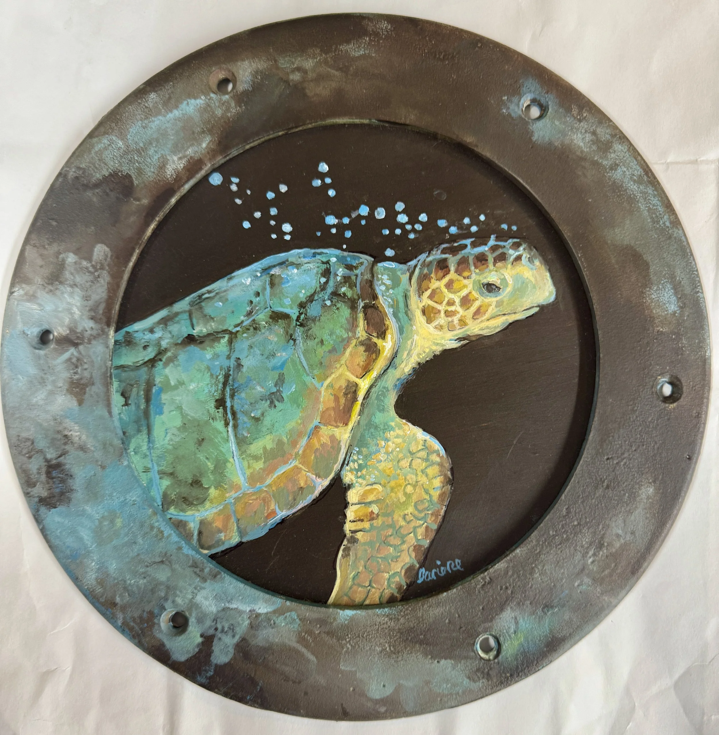 Linda Rieke, Baby Turtle in Porthole, 9" x 9', Oil on Board