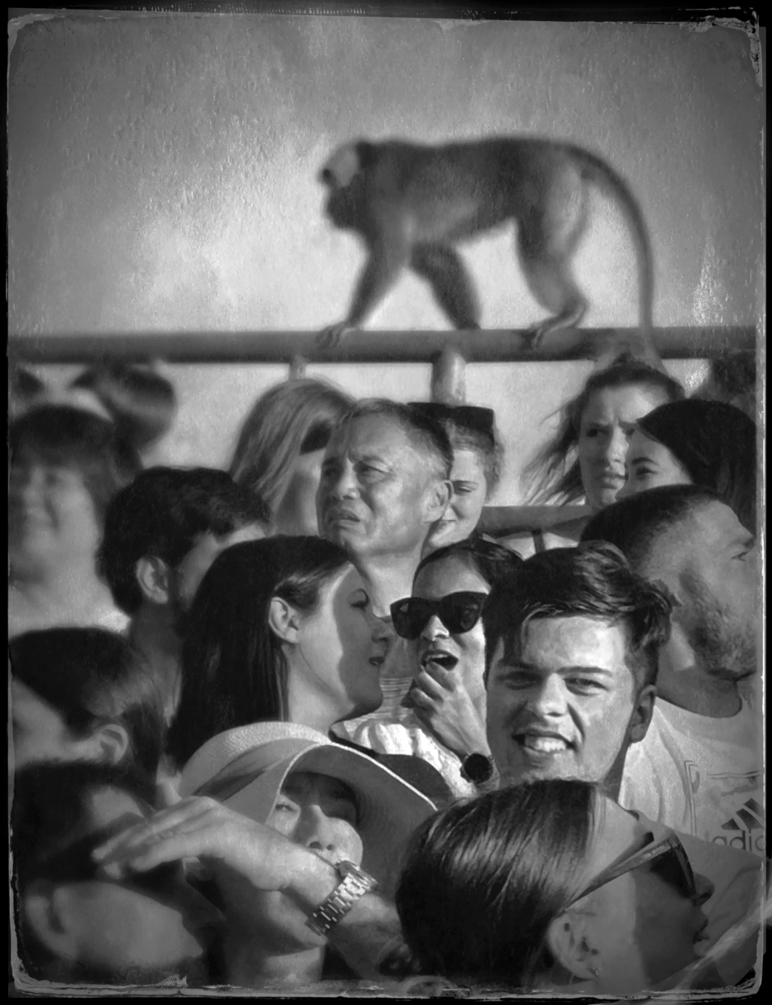 There's a Stranger in Our Midst, 19.5 x 16.5 in, Photographic Print on Paper