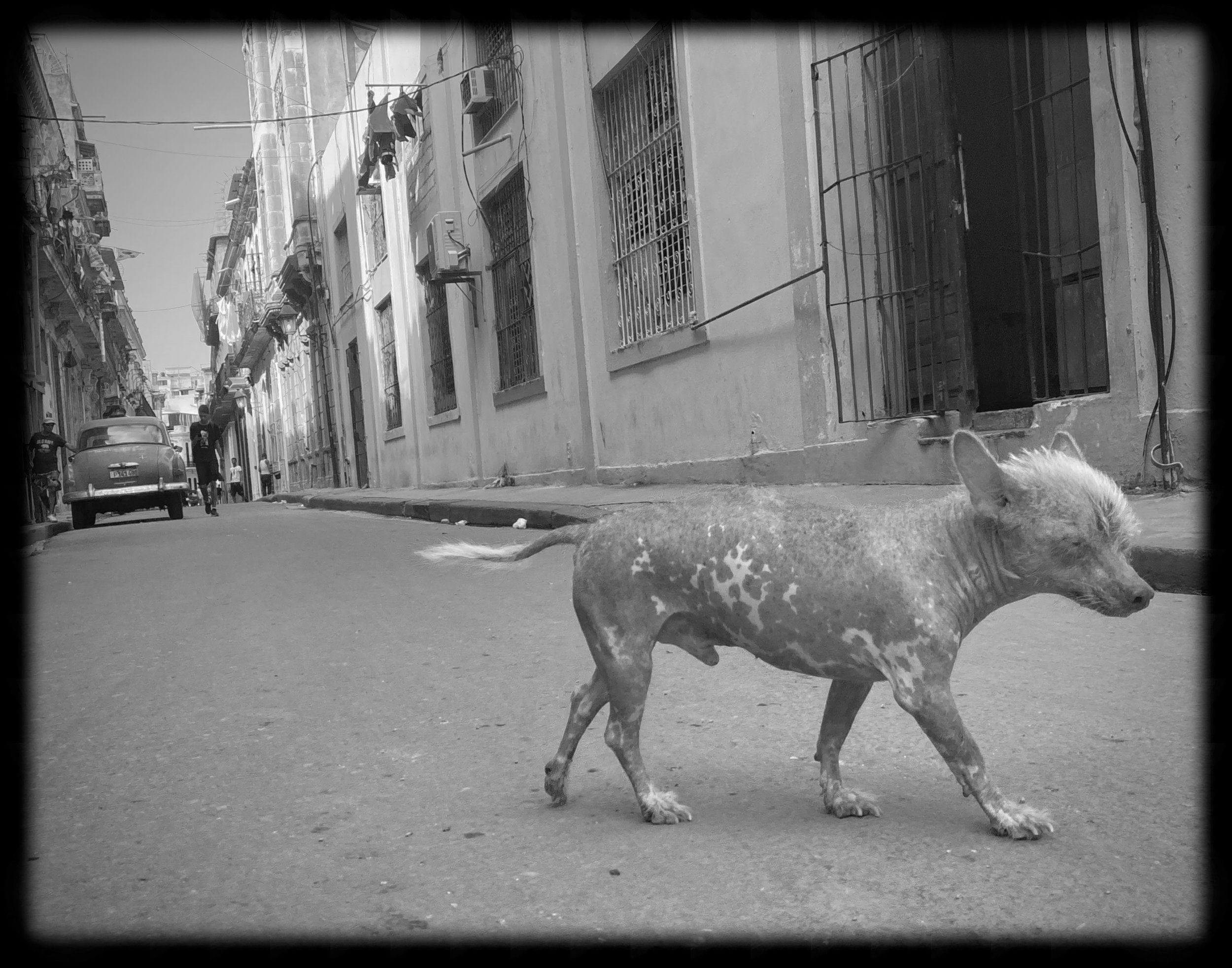 La Jefa (The Boss), 15.25 x 19 in, Photographic Print on Paper