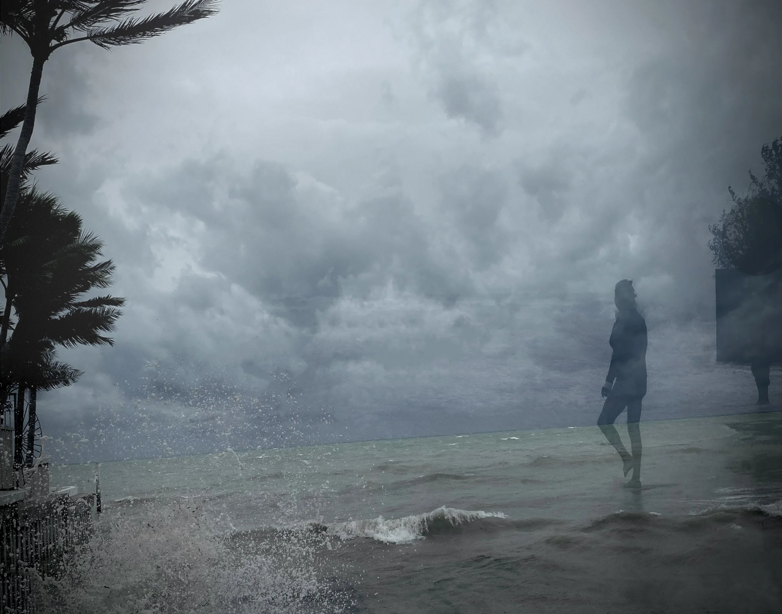 A Stroll Through Ian, 16.5 x 19.5 in, Photographic Print on Paper