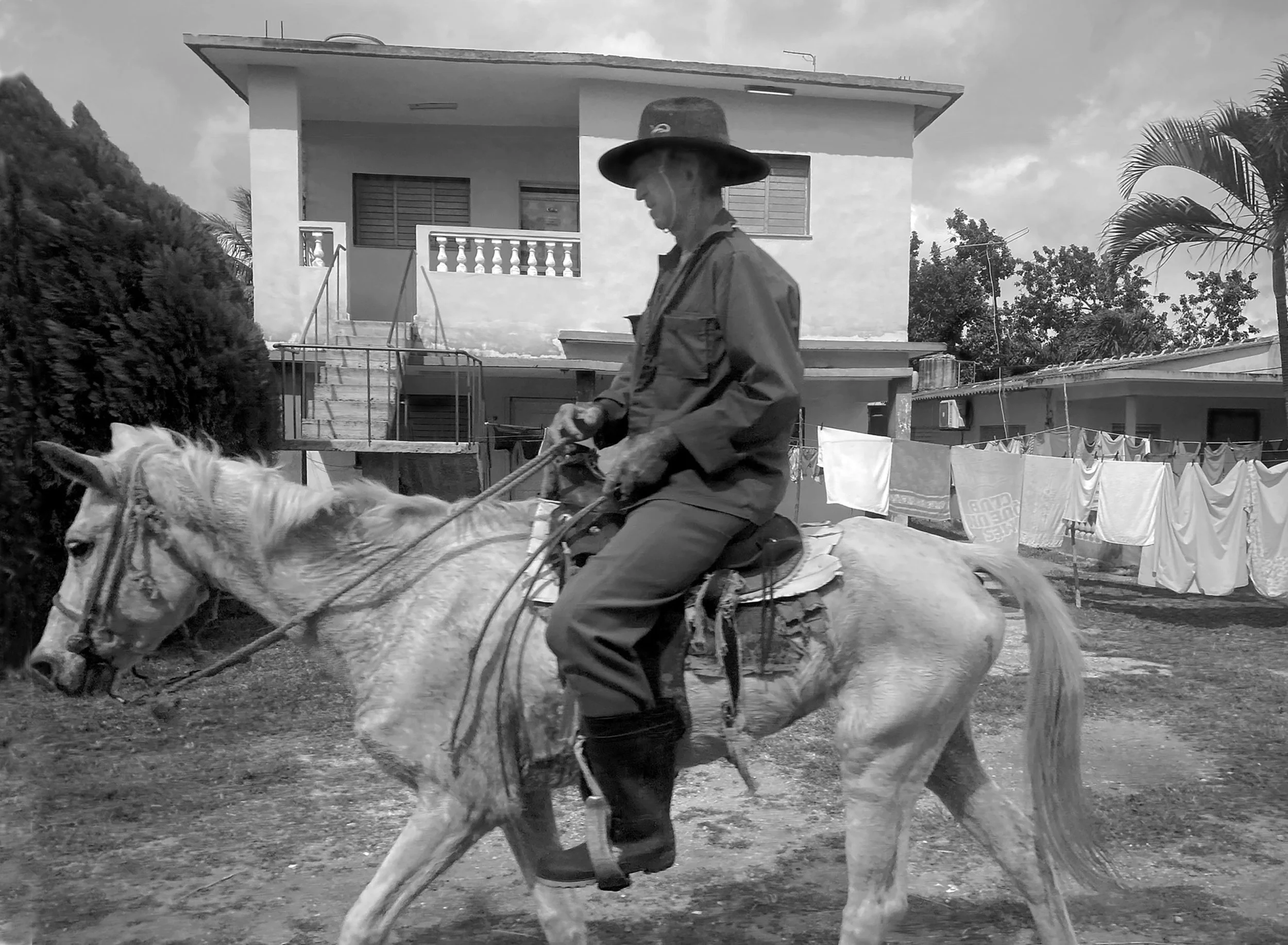 La Guardabosques Solitaria, 15.5 x 18.25 in, Photographic Print on Paper