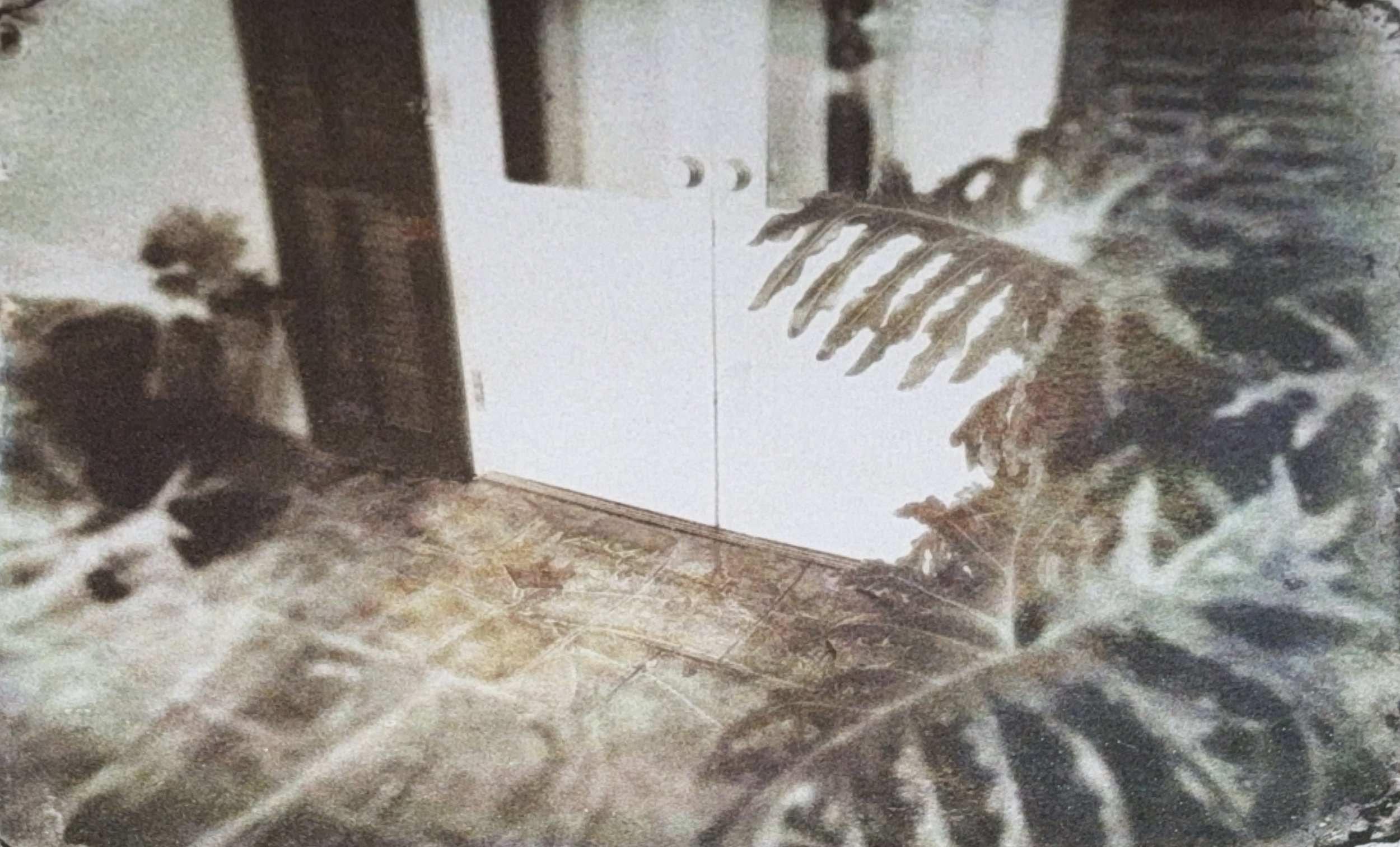 No Soliciting, 12 x 14.5 in, Photographic Print on Paper