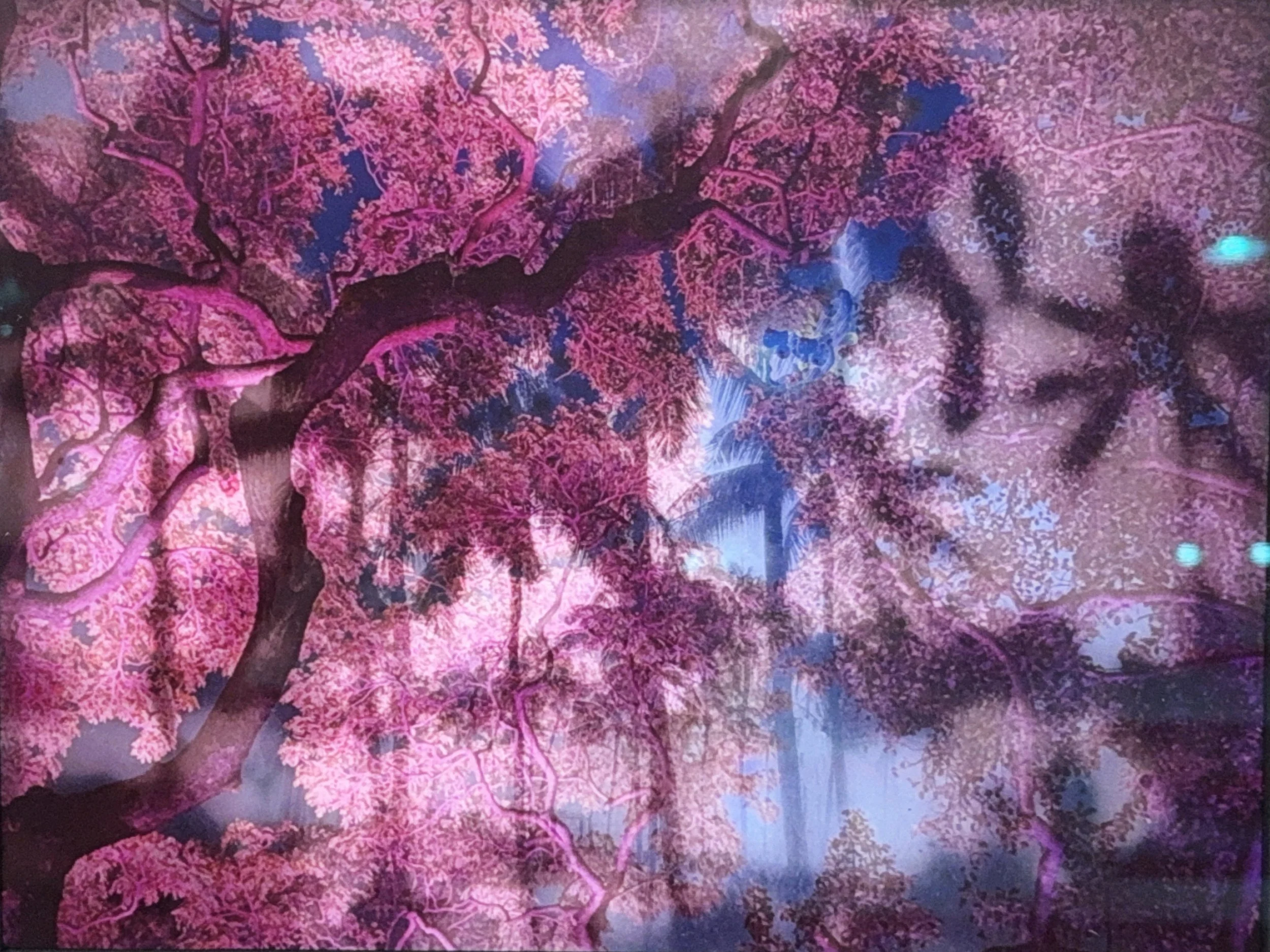 Bone Island Meets the Pink Palace of the Pacific, 16 x 19 in, Photographic Print on Paper