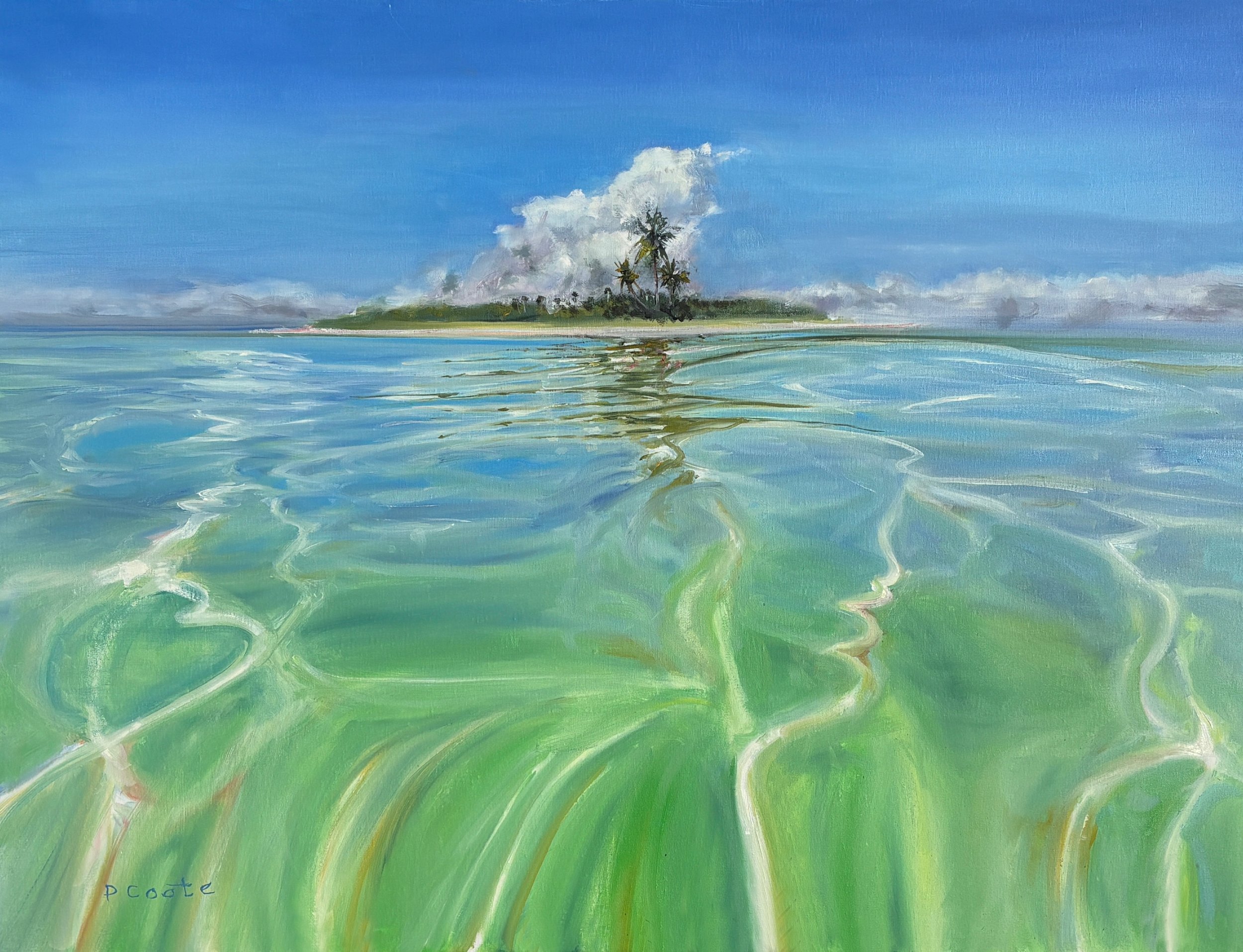 Priscilla Coote, Mirage, 30" x 40", Oil on Linen