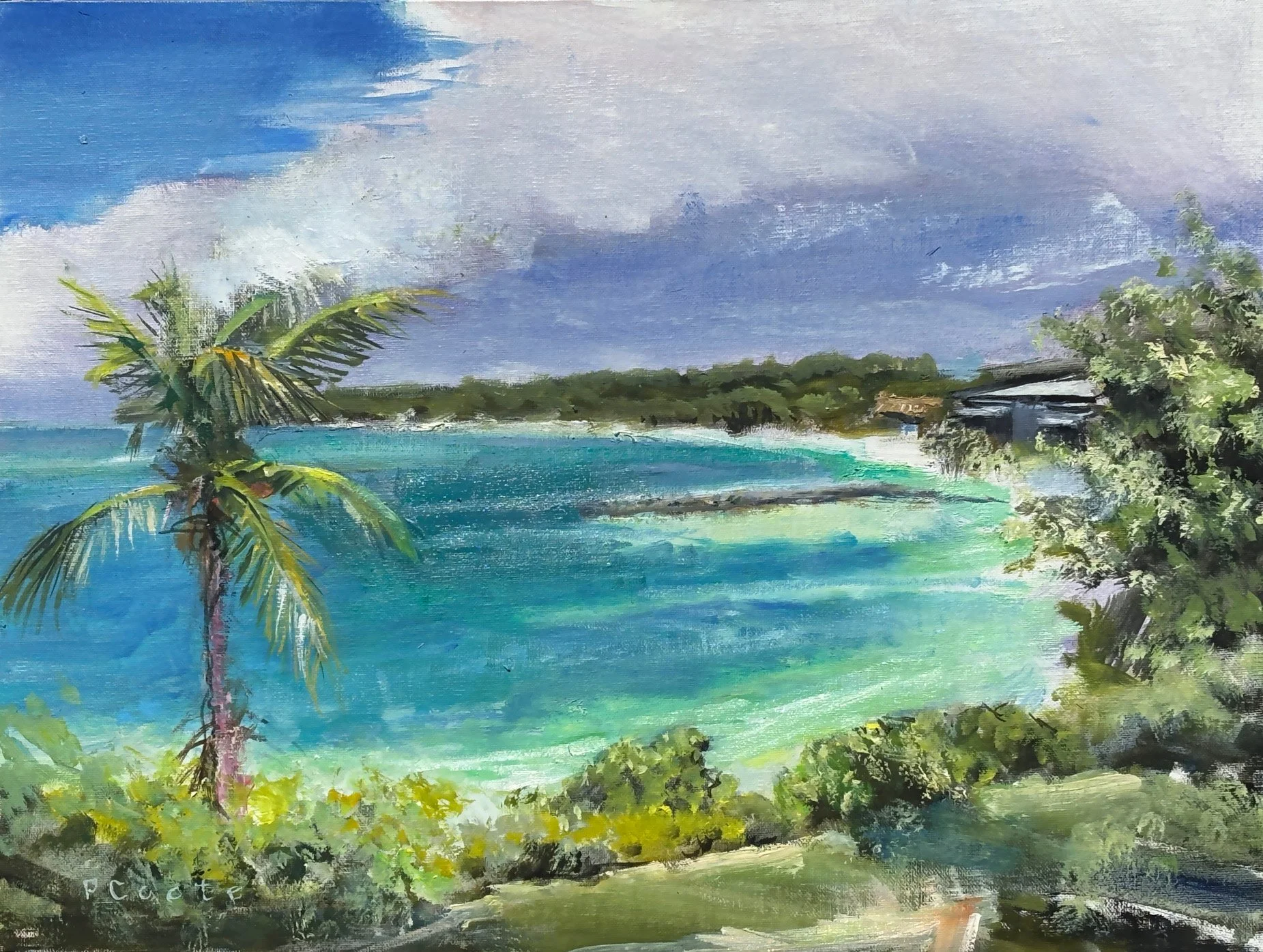 Priscilla Coote, Clearing, 12" x 16", Plein Air Oil