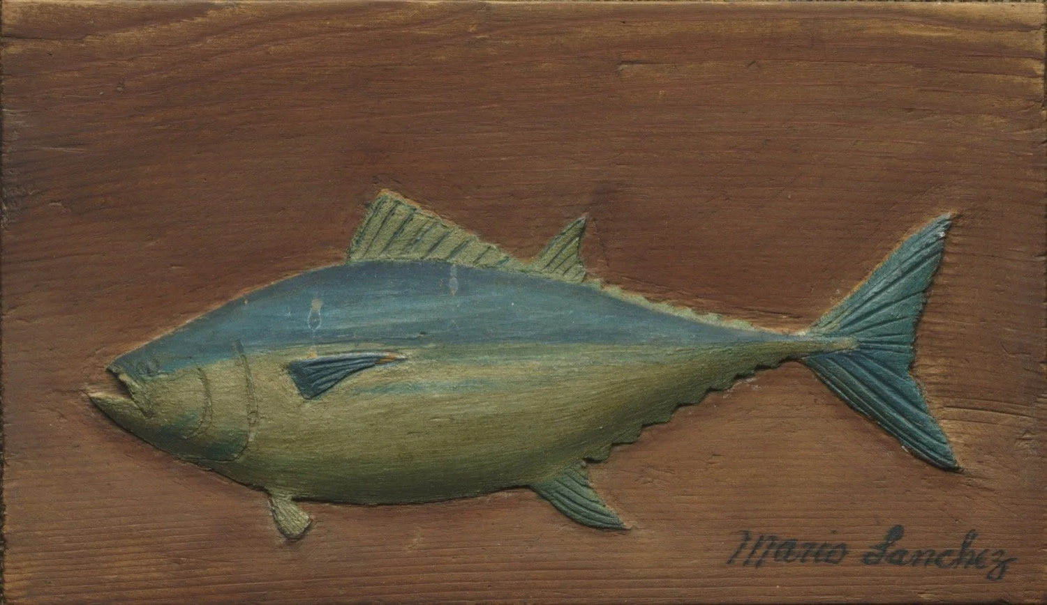 Bonito, 5.5 x 9.5 in