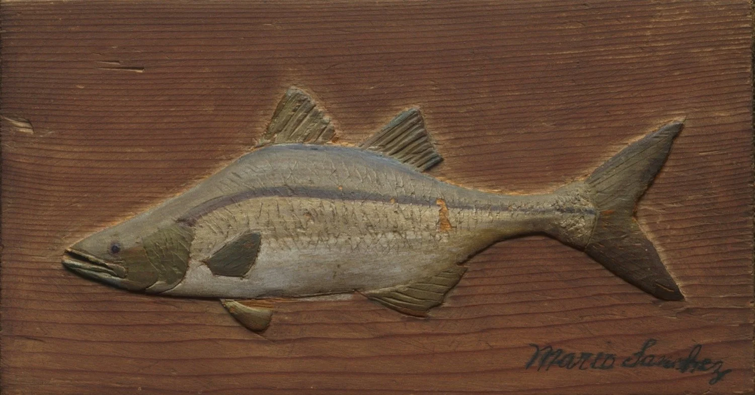 Cobia, 5.5 x 10.5 in