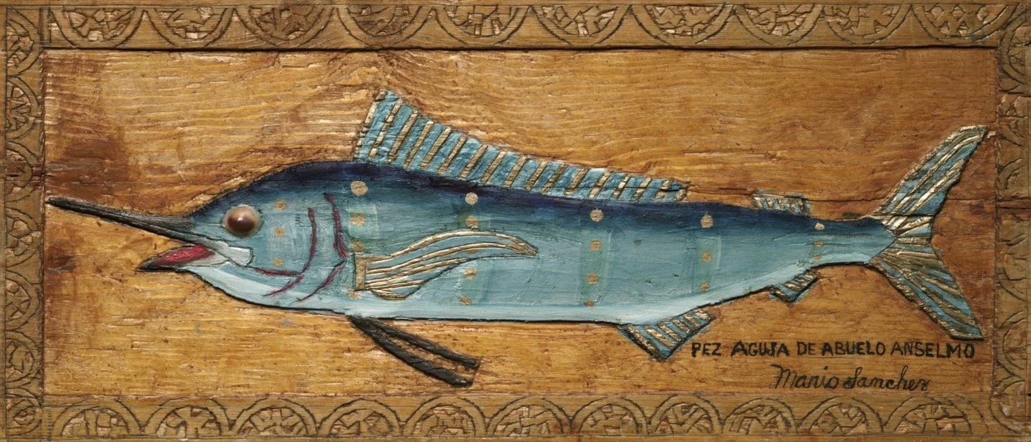 Pez Aguja de Abueolo Anselmo
